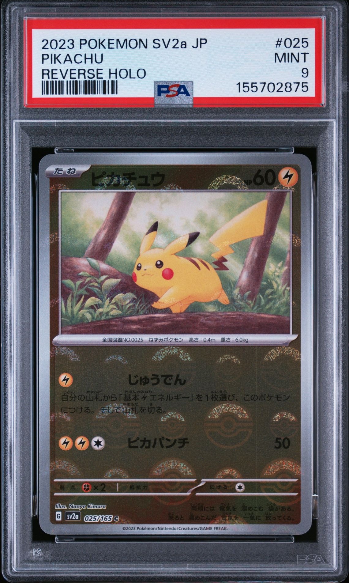 PSA10】ピカチュウ C [SM11b 016/049](強化拡張パック「ドリームリーグ