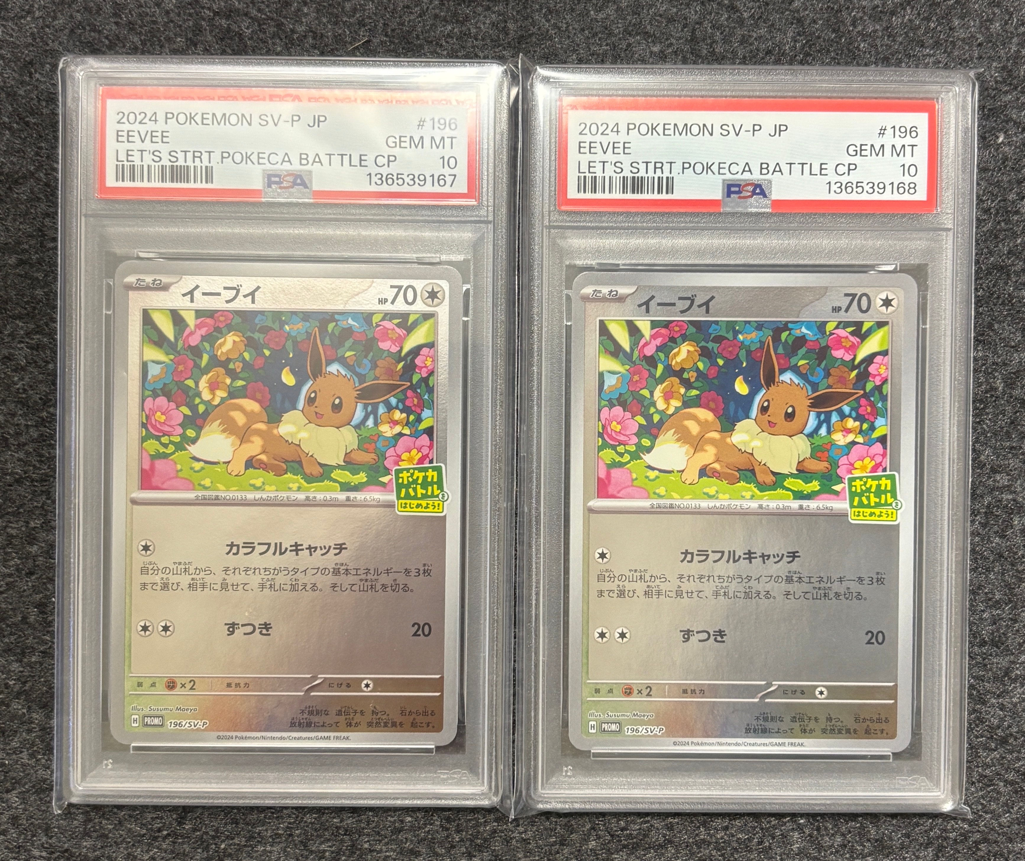 イーブイ P [SV-P-SM 196](プロモカードパック「ポケカバトルをはじめよう!キャンペーン」)