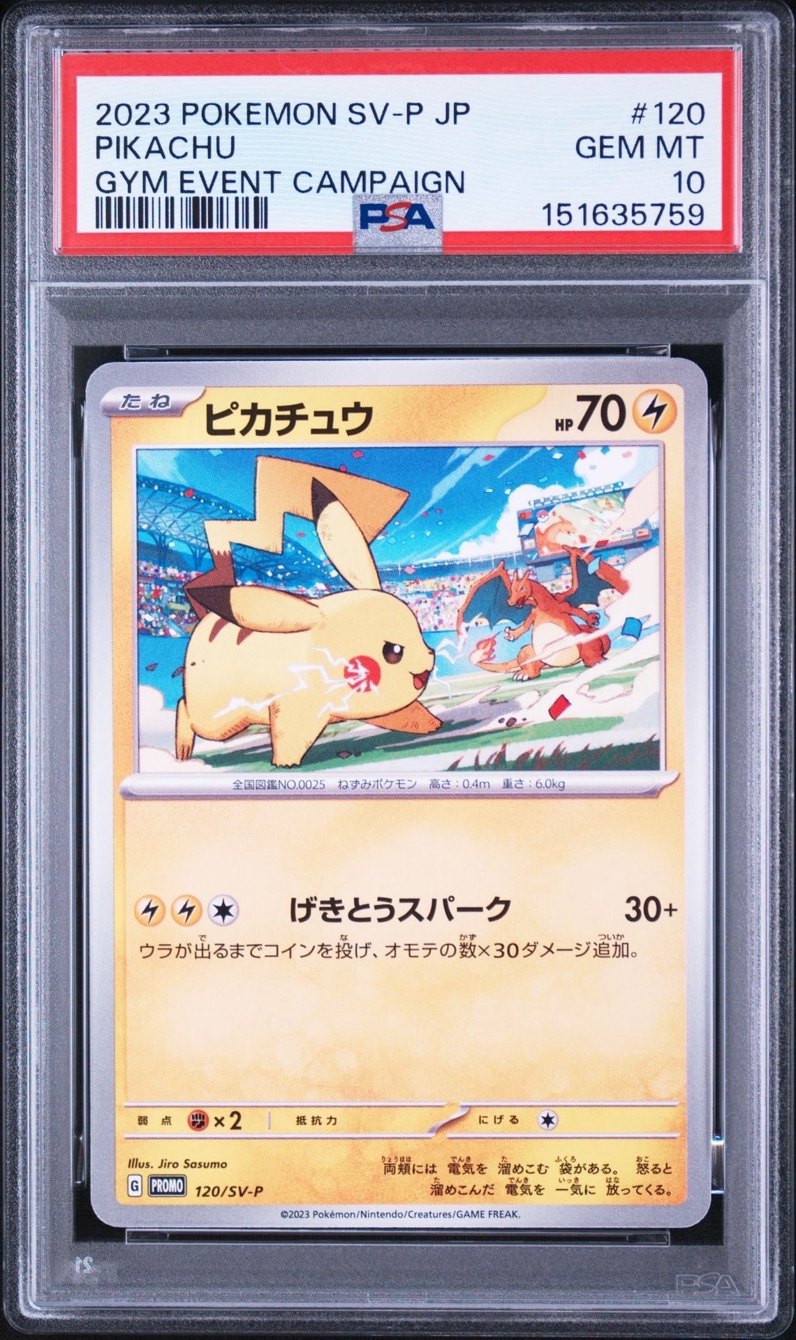 ピカチュウ: プロモ [SV-P 120](プロモーションカード「SV-P」)の新品
