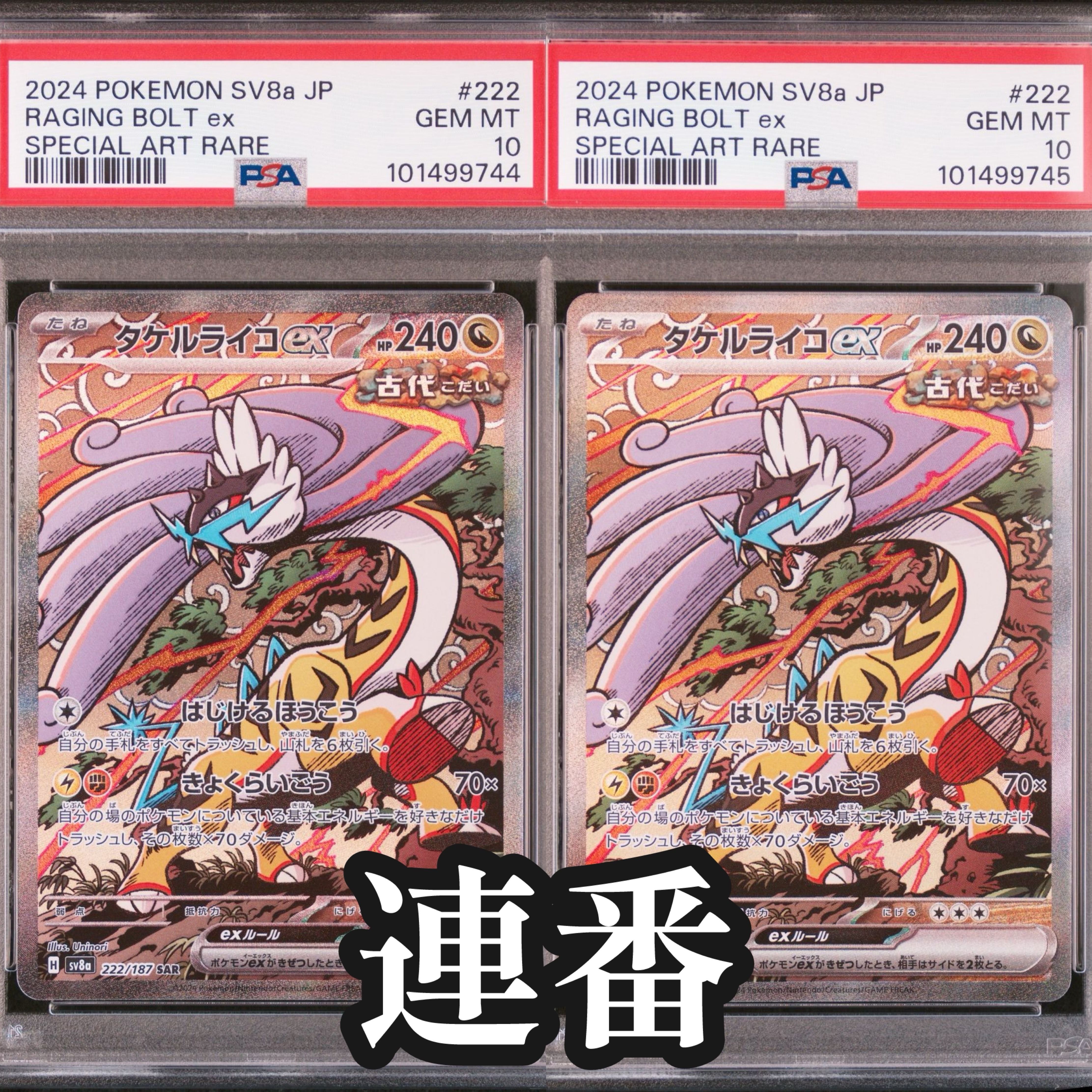 タケルライコex SAR [SV8a 222/187](ハイクラスパック「テラスタルフェスex」)