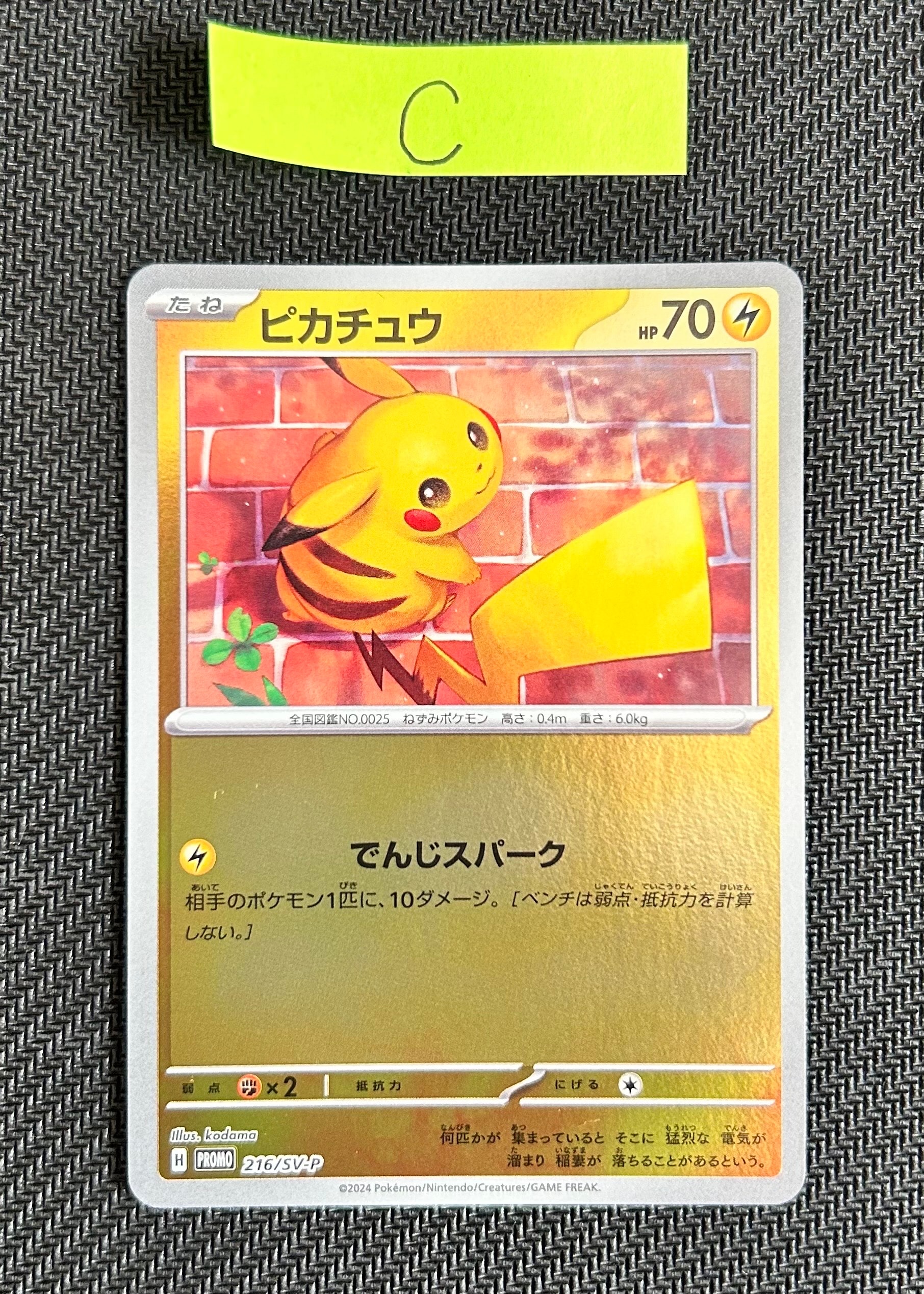 ピカチュウ P [SV-P 216](プロモカードパック「ポケカの夏がキタ!プロモカードGetキャンペーン!」)