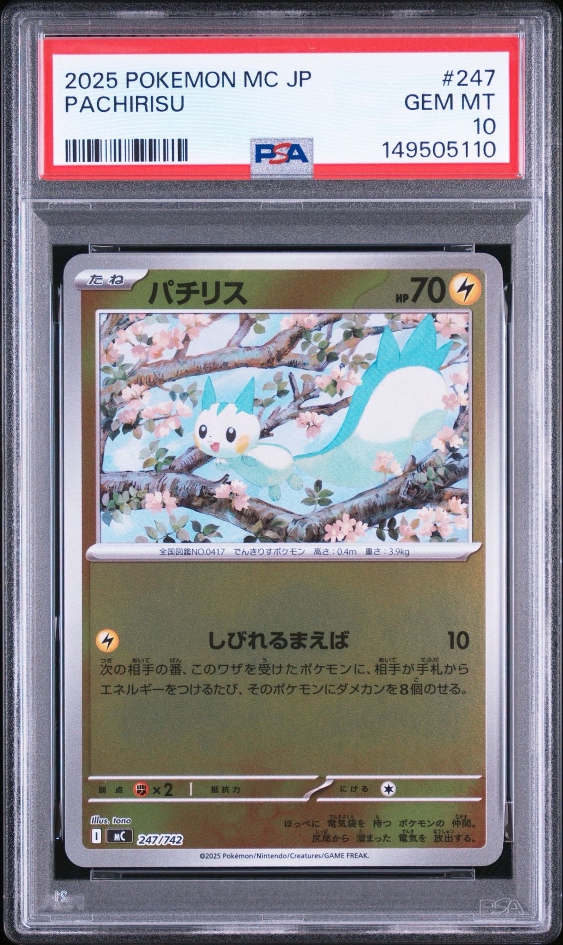 デデンネ AR [M3 085/080](拡張パック「ムニキスゼロ」)の新品/中古