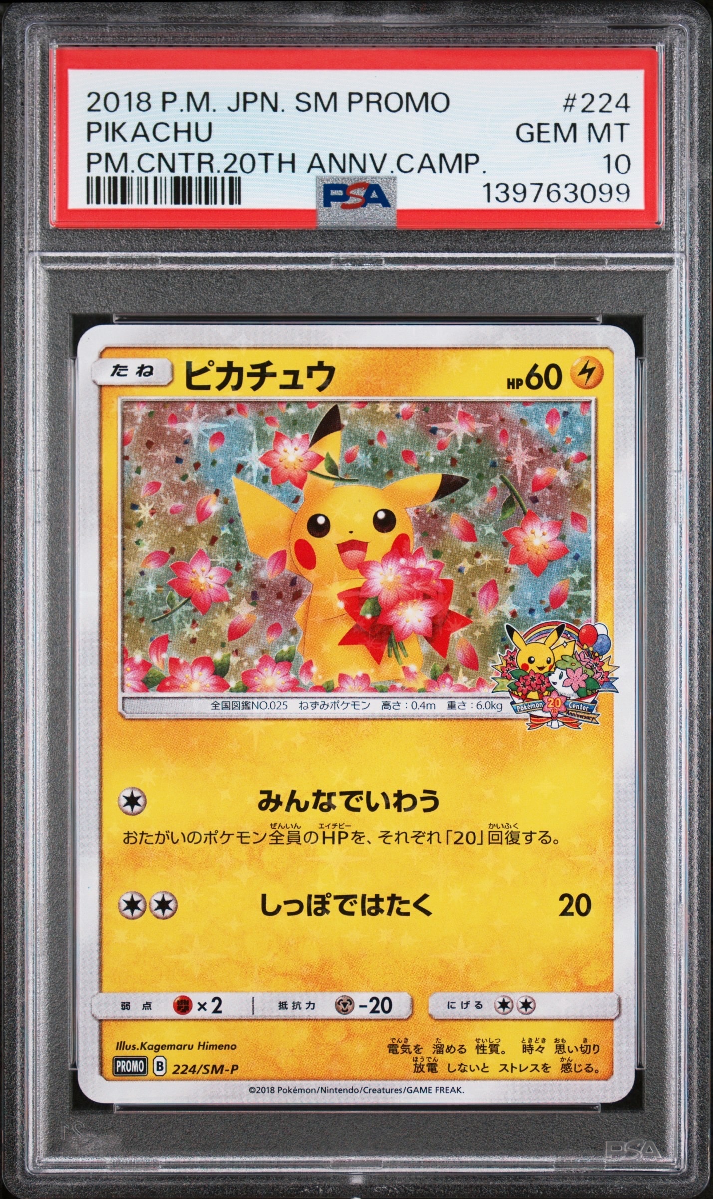 ピカチュウ: プロモ[SM-P 224](プロモーションカード「SM-P」)