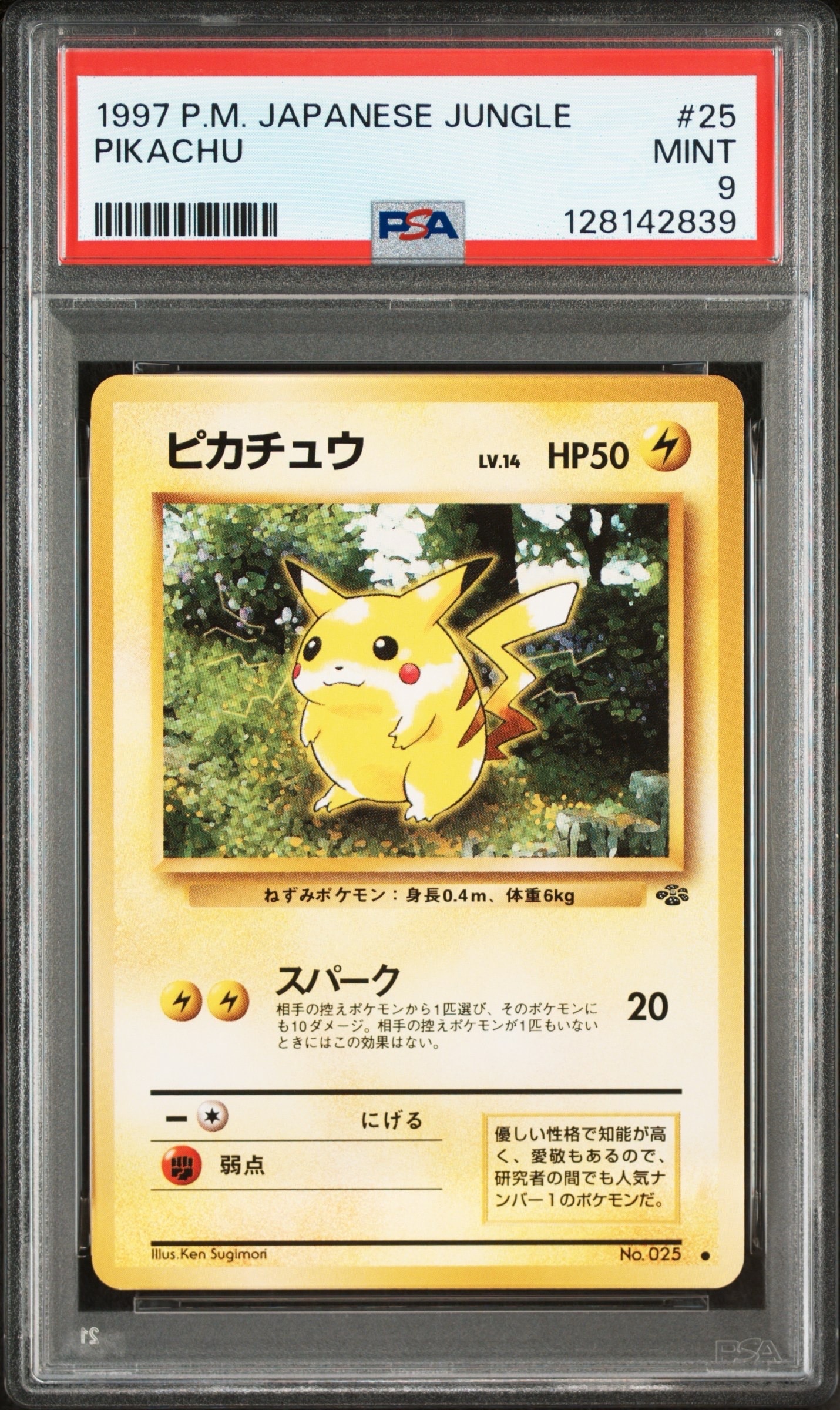 ピカチュウ ● : 旧裏 [PMCG2 No.025](拡張パック「ポケモンジャングル」)