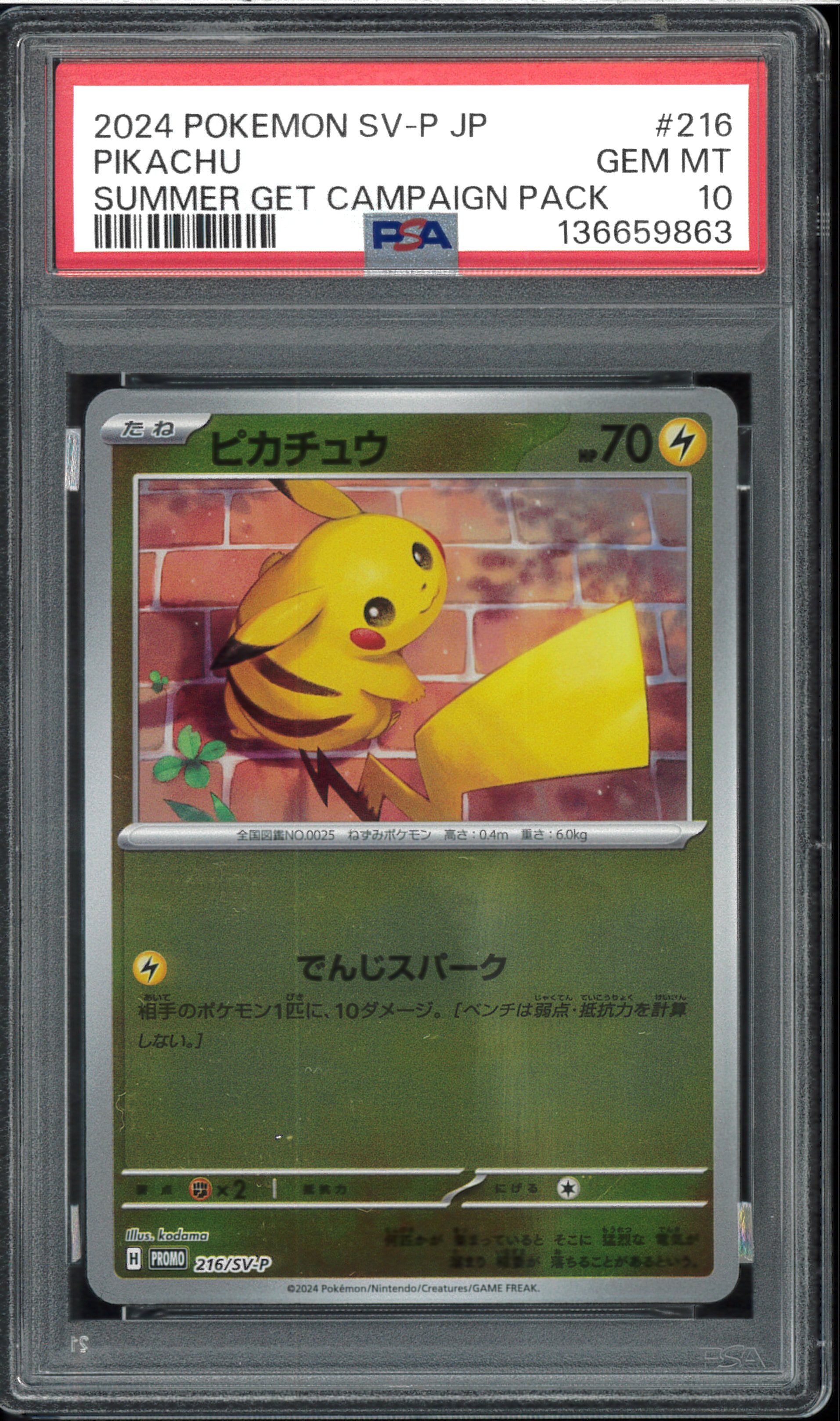 PSA10】ピカチュウ P [SV-P 216](プロモカードパック「ポケカの夏が