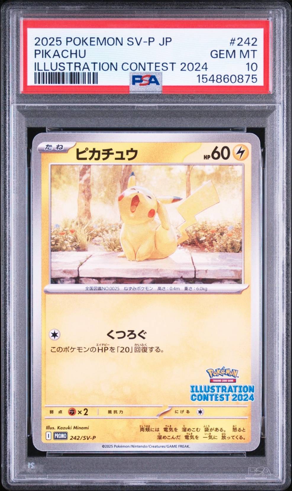 ピカチュウ [SV-P 242](プロモカードパック「イラストレーション
