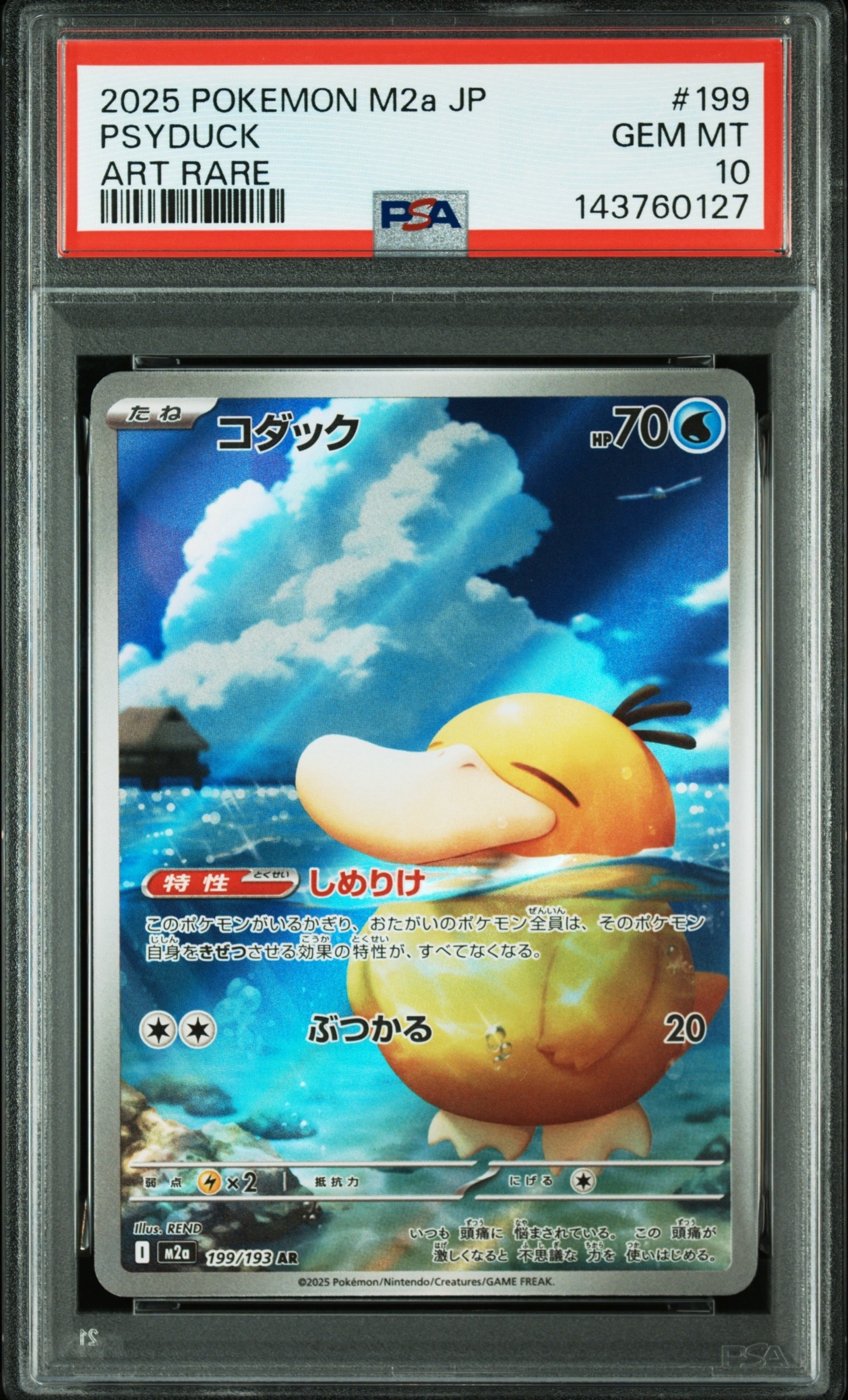 コダック AR [M2a 199/193](ハイクラスパック「MEGAドリームex」)