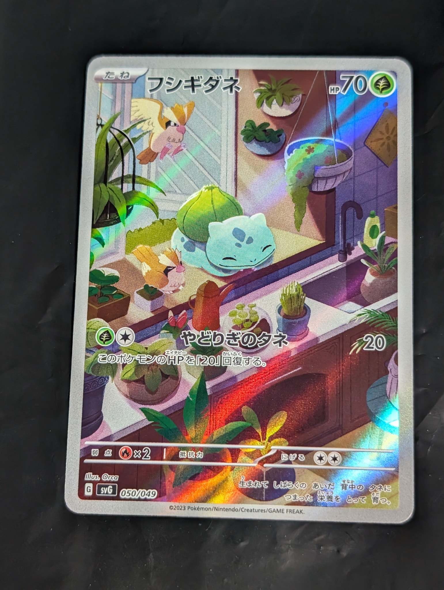フシギダネ :フルイラスト [SVG 050/049](スペシャルデッキセットex「フシギバナ・リザードン・カメックス」)