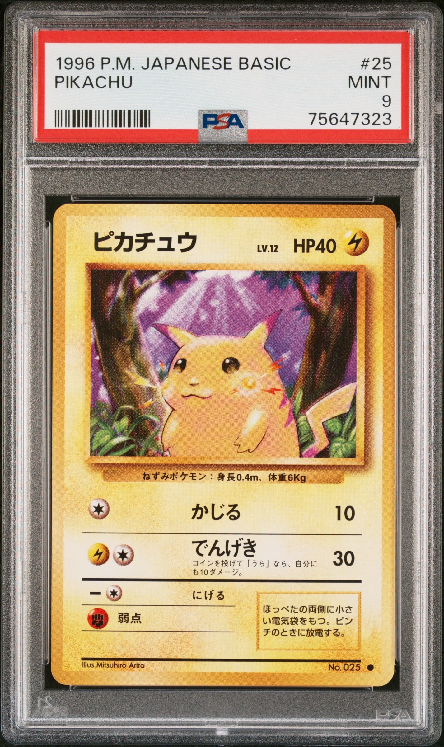 ピカチュウ ● : 旧裏 [PMCG1-2](拡張パック「ポケットモンスター カードゲーム」再販)