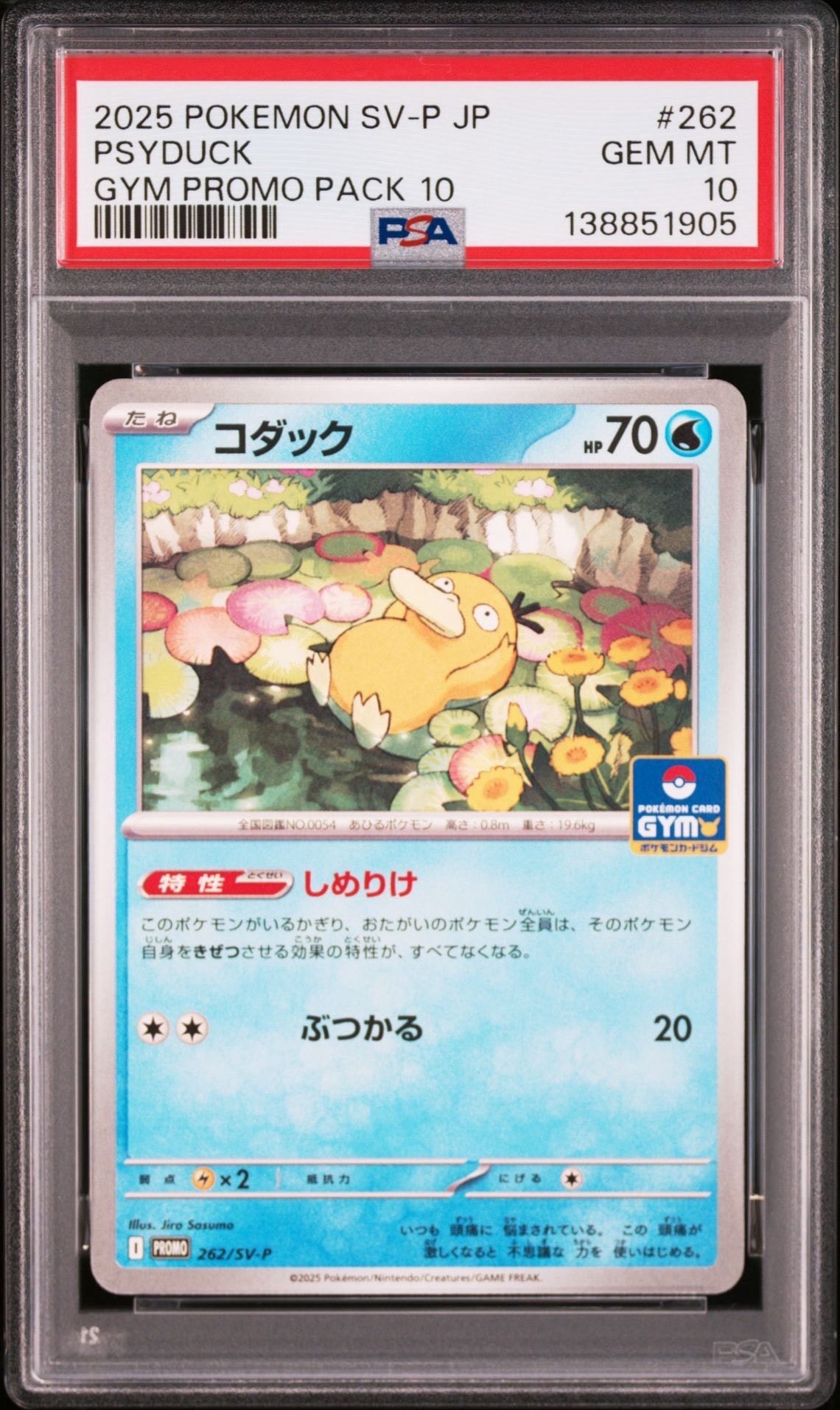コダック P [SV-P 262](プロモカードパック「第10弾」)