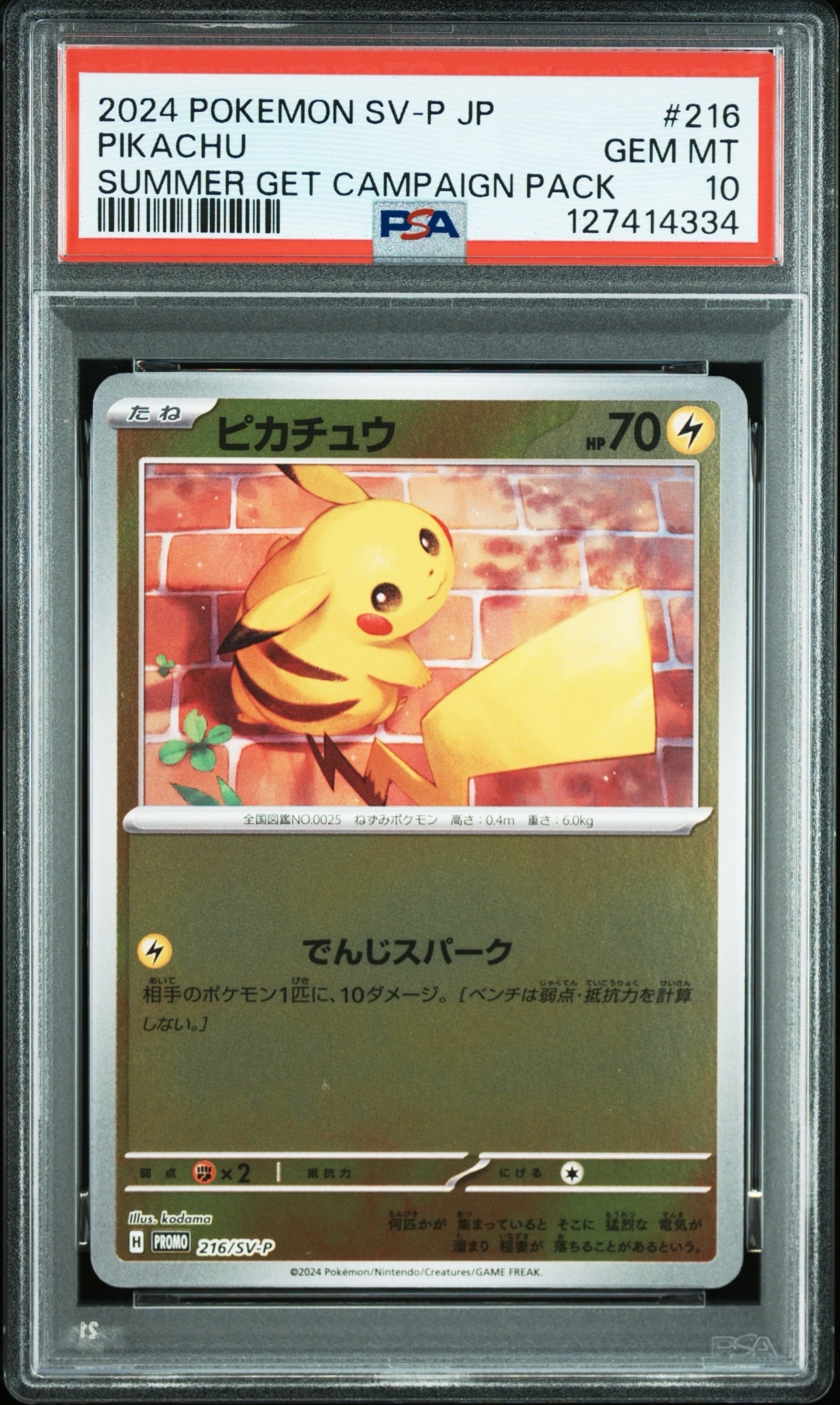 ピカチュウ P [SV-P 216](プロモカードパック「ポケカの夏がキタ!プロモカードGetキャンペーン!」)