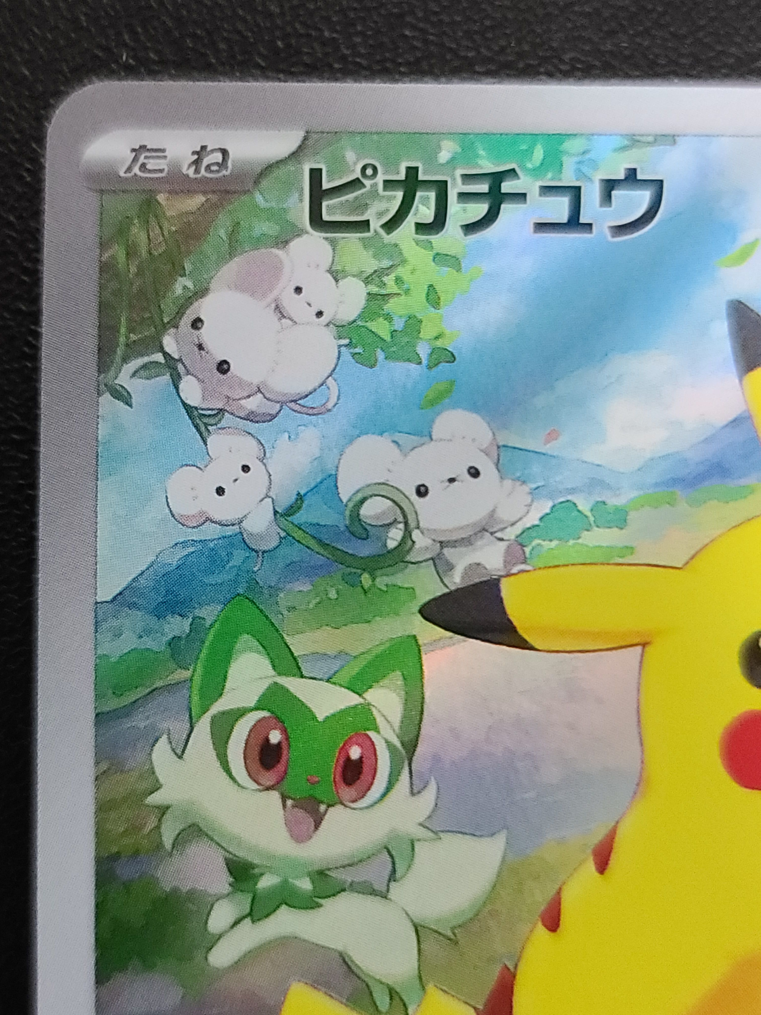 ピカチュウ P [SV-P 218](プロモカードパック「ポケカの夏がキタ