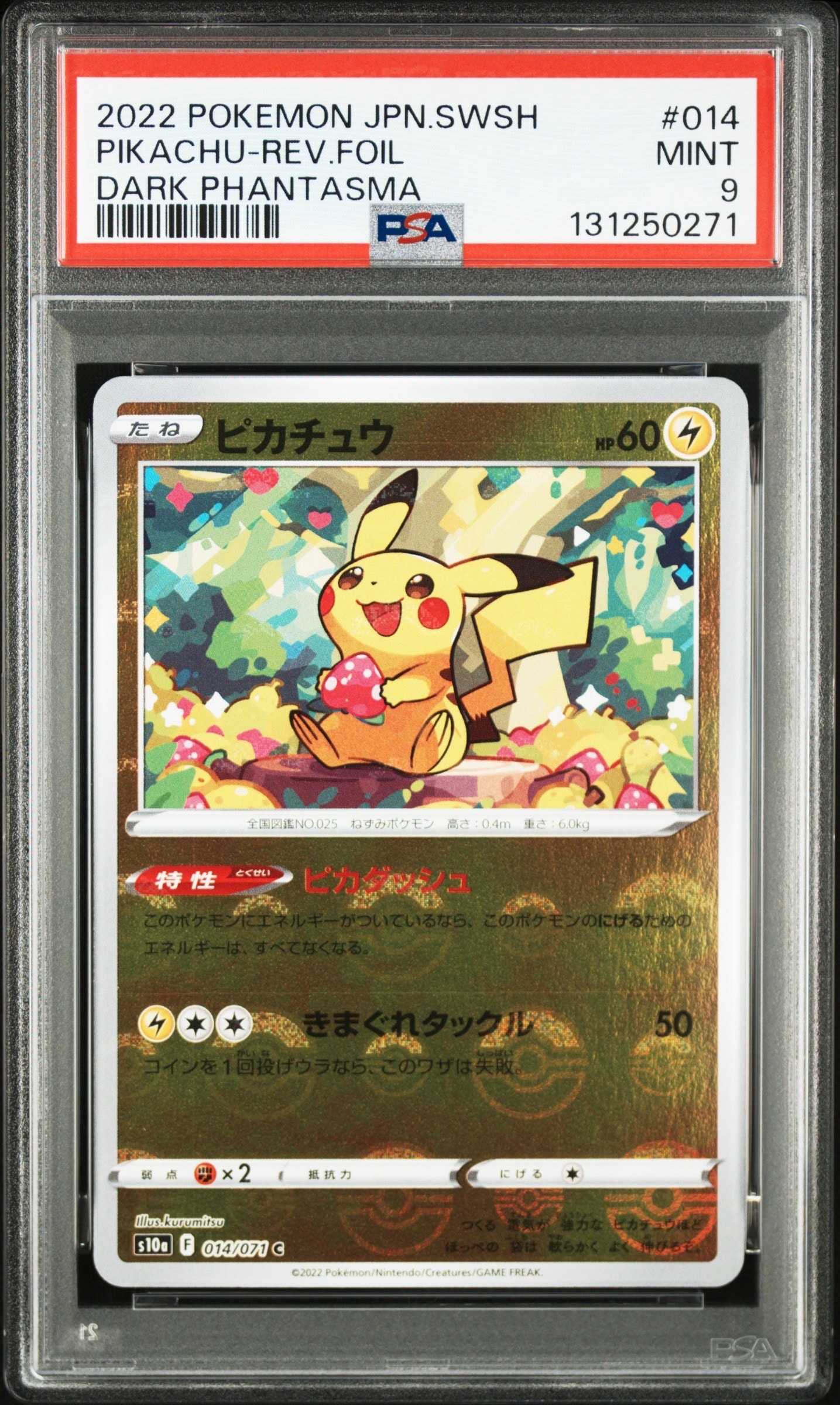 オーヤマのピカチュウ: 旧裏[PMCG-EX](拡張シート)の新品/中古フリマ