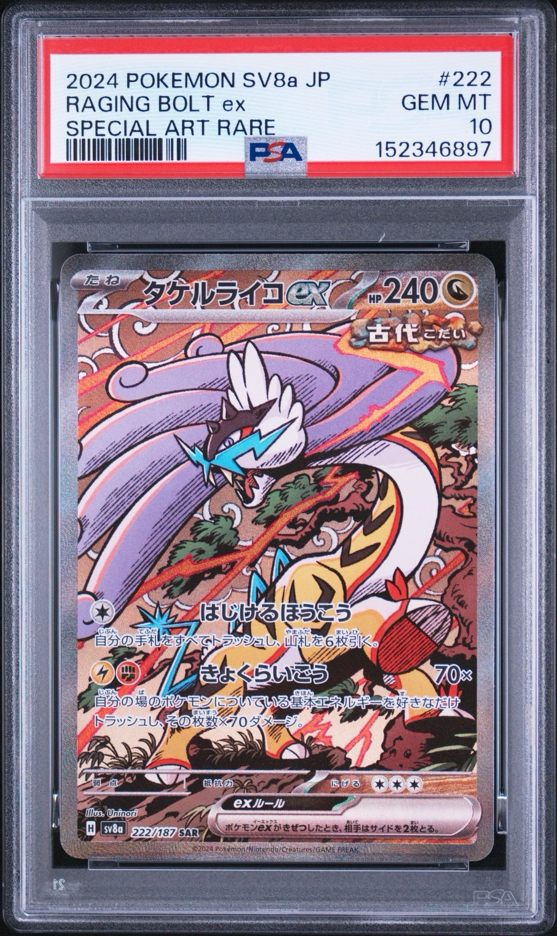 タケルライコex SAR [SV8a 222/187](ハイクラスパック「テラスタル