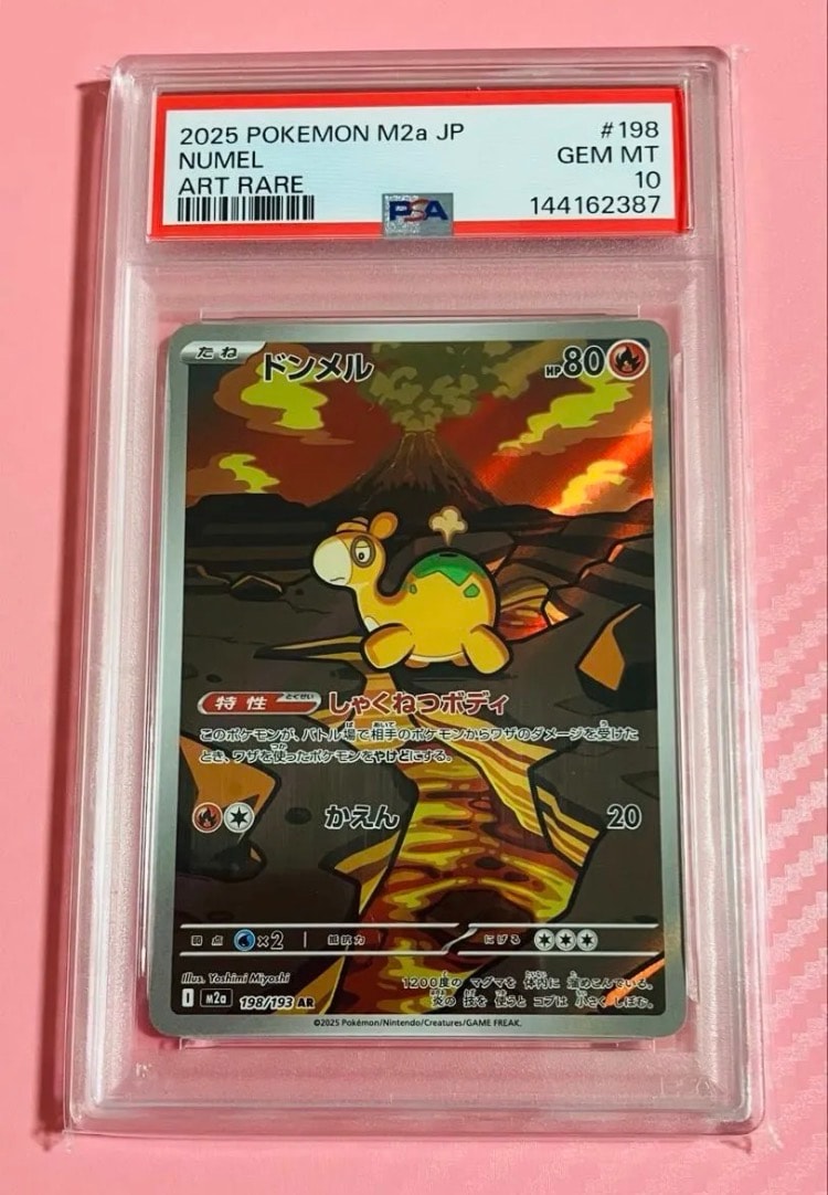 PSA10ドンメル ARハイクラスパック MEGAドリームex 9703 毎日更新