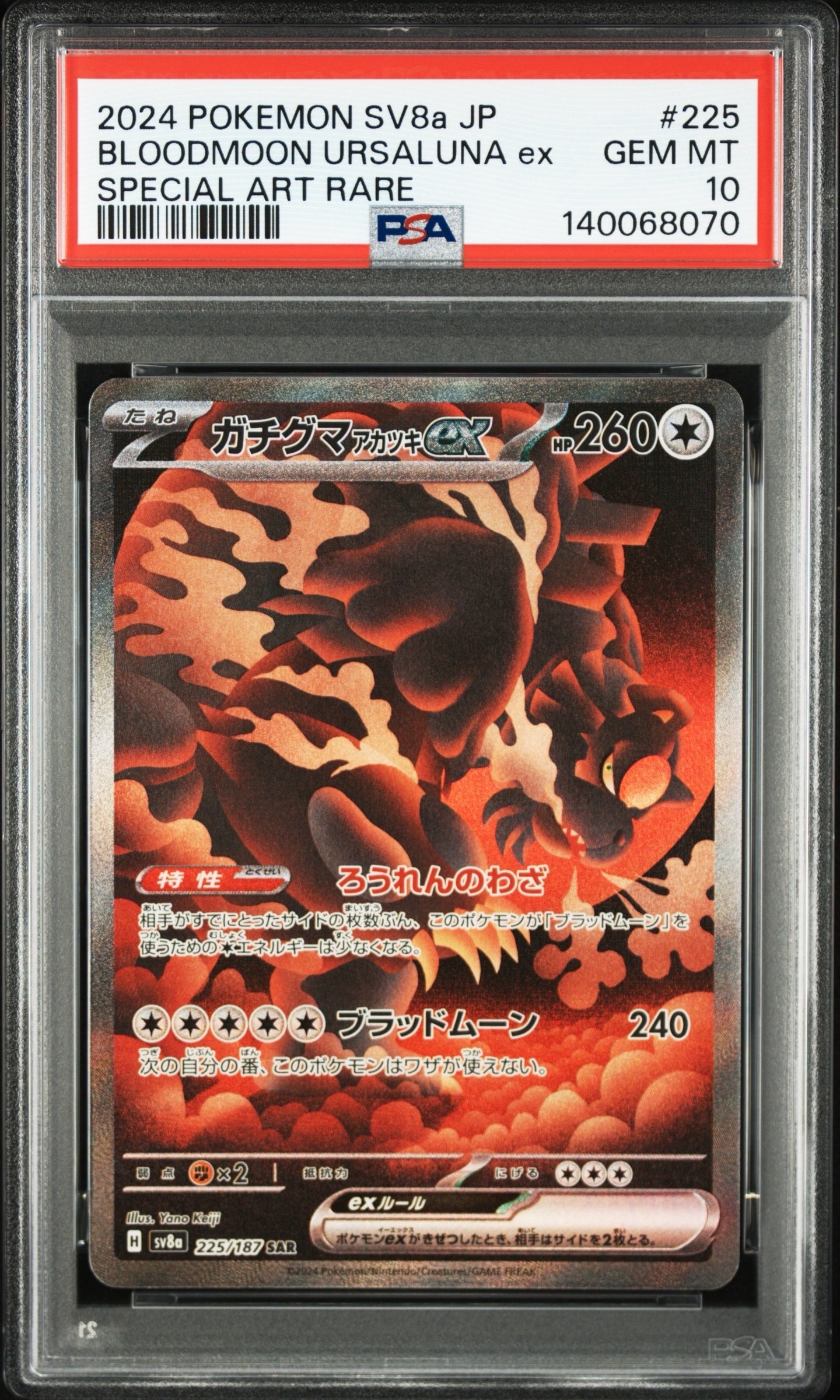 ガチグマ アカツキex SAR [SV8a 225/187](ハイクラスパック「テラスタルフェスex」)