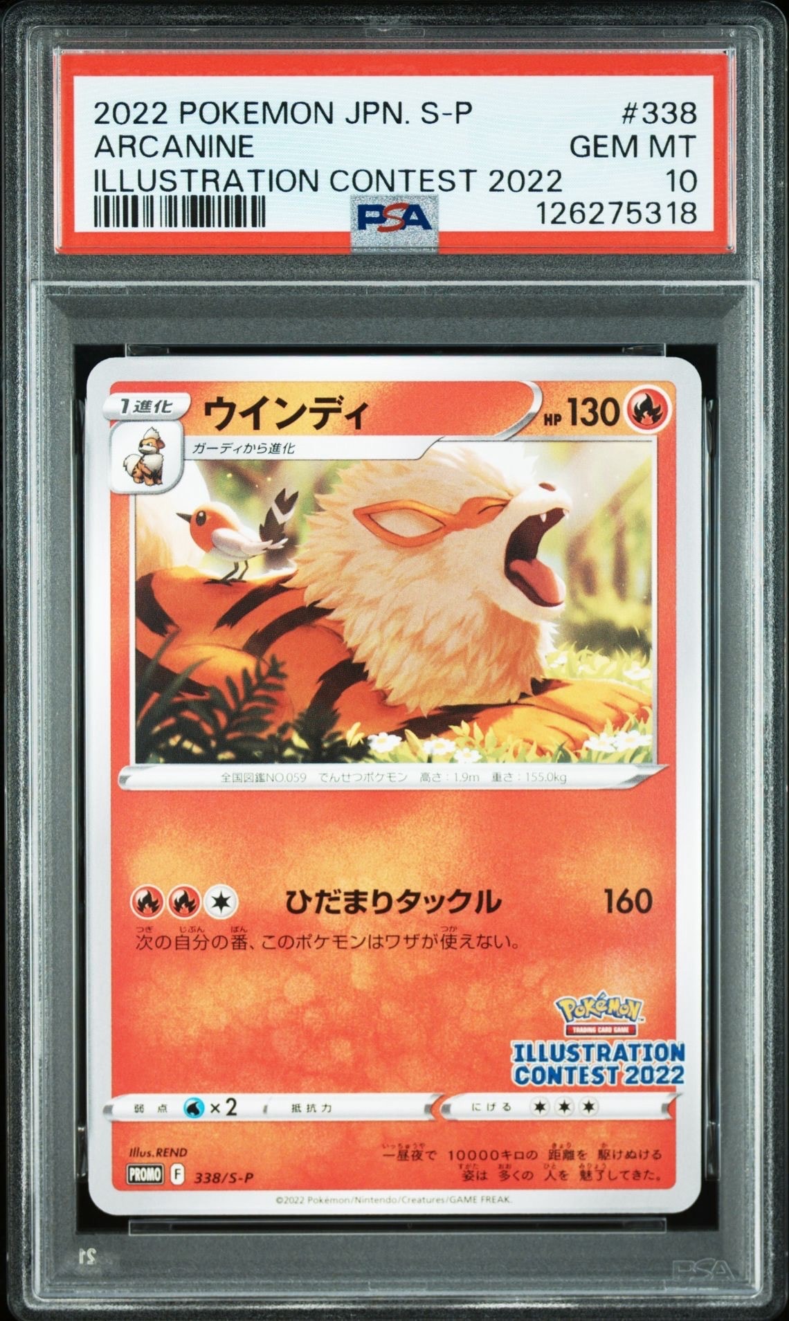 ウインディ プロモ[PROMO338 S-P](プロモーションカード「ポケモンセンター・ポケモンストア・ポケモンセンターオンライン2000円以上購入特典」)