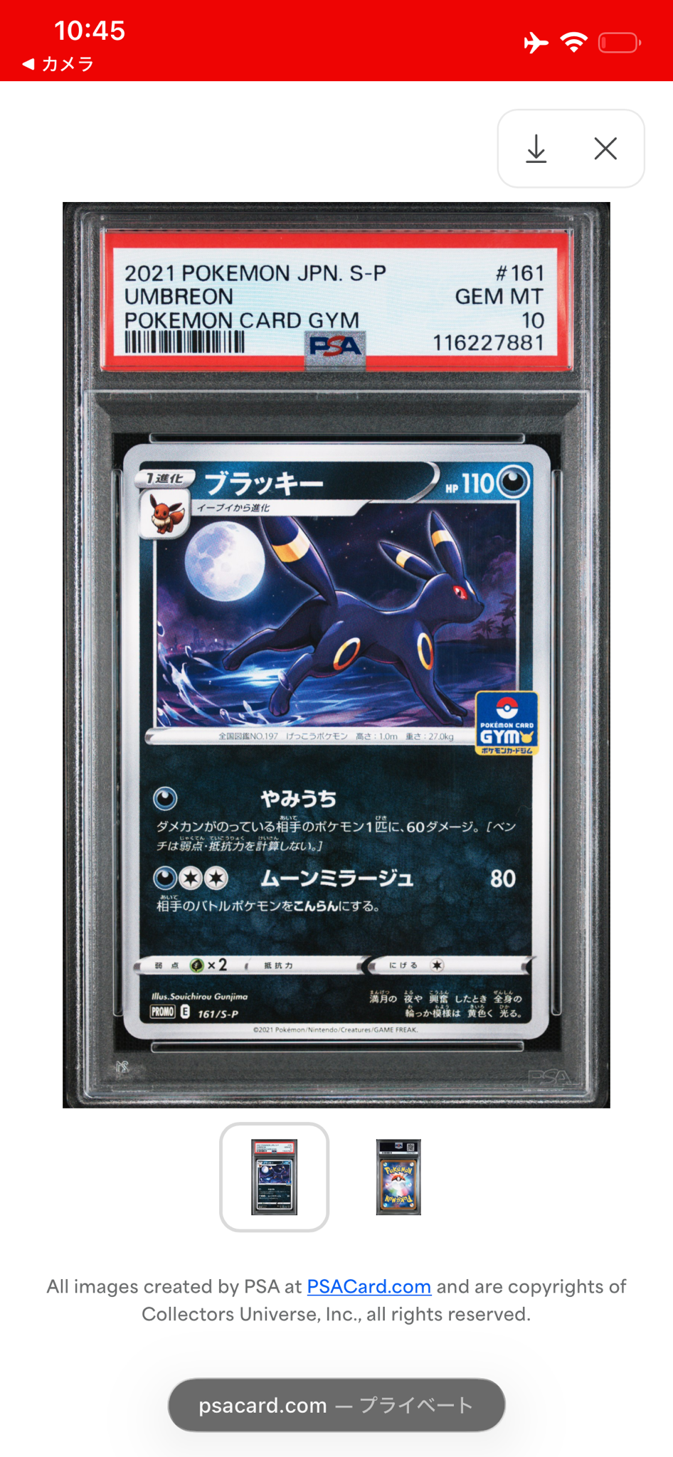 ブラッキー: プロモ P [S-P 161](ポケモンカードゲーム ソード