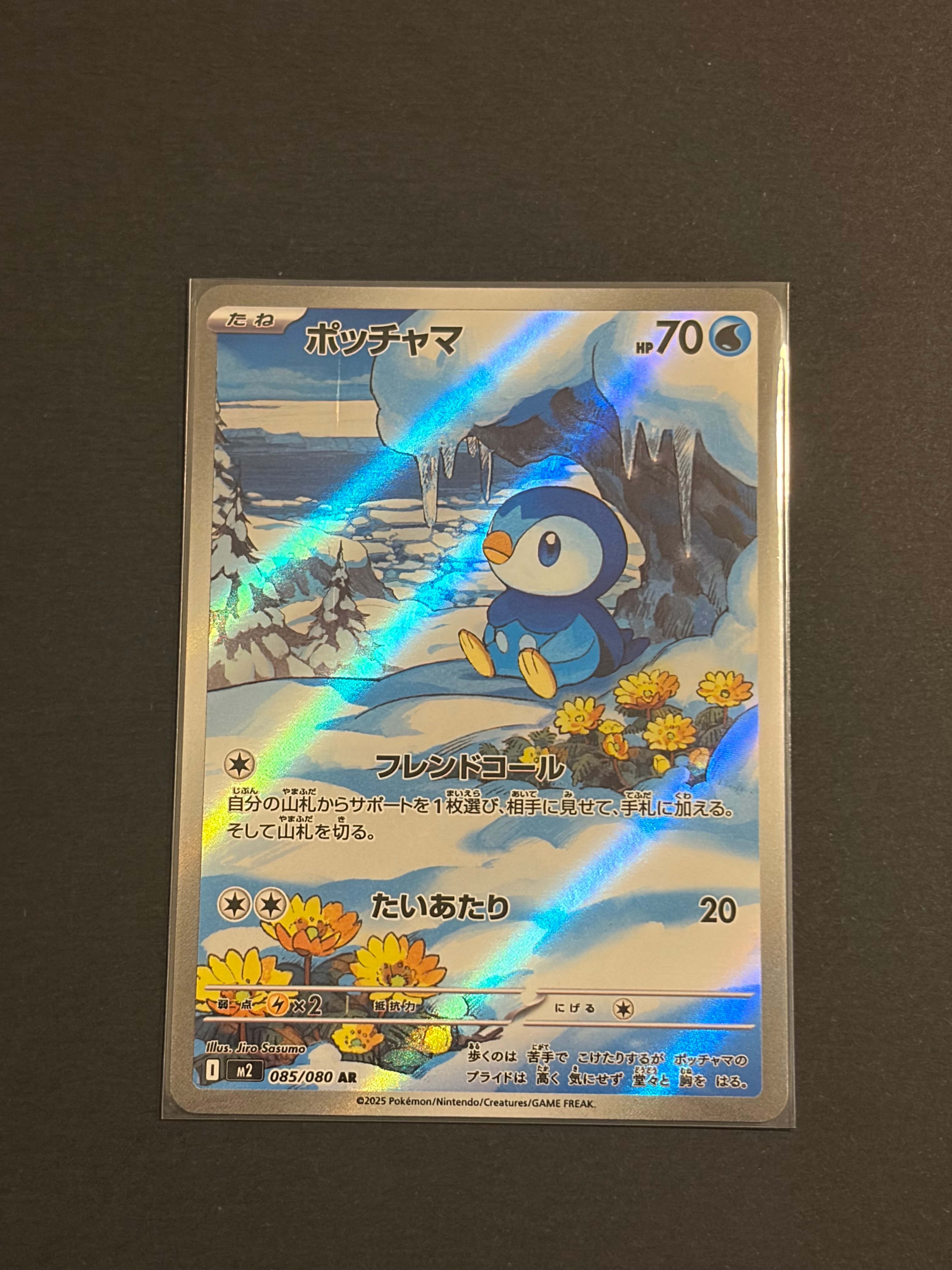PSA10】ポッチャマ AR [M2 085/080](拡張パック「インフェルノX」) 2枚