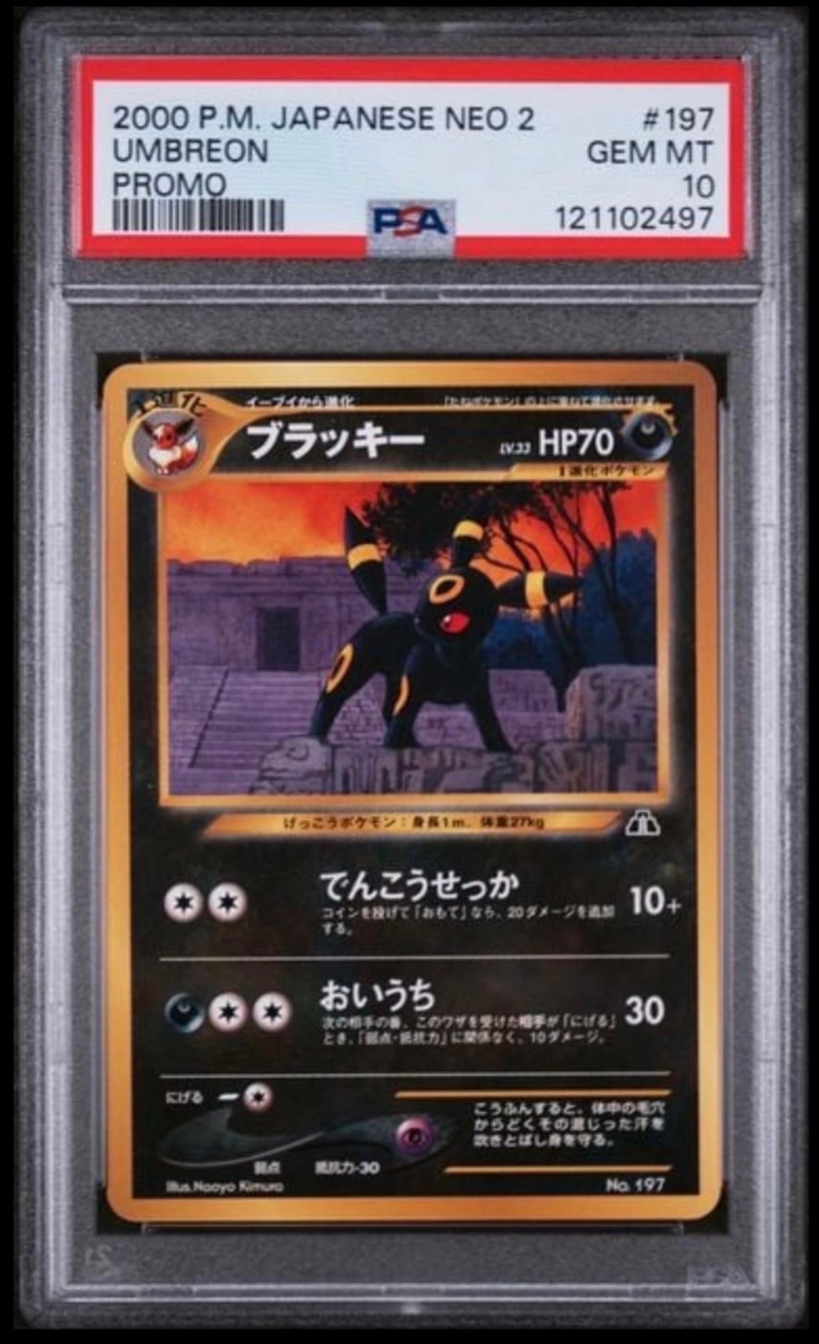 ブラッキープレミアムファイル2: 旧裏[neoP2 No.197](プレミアムファイル2)