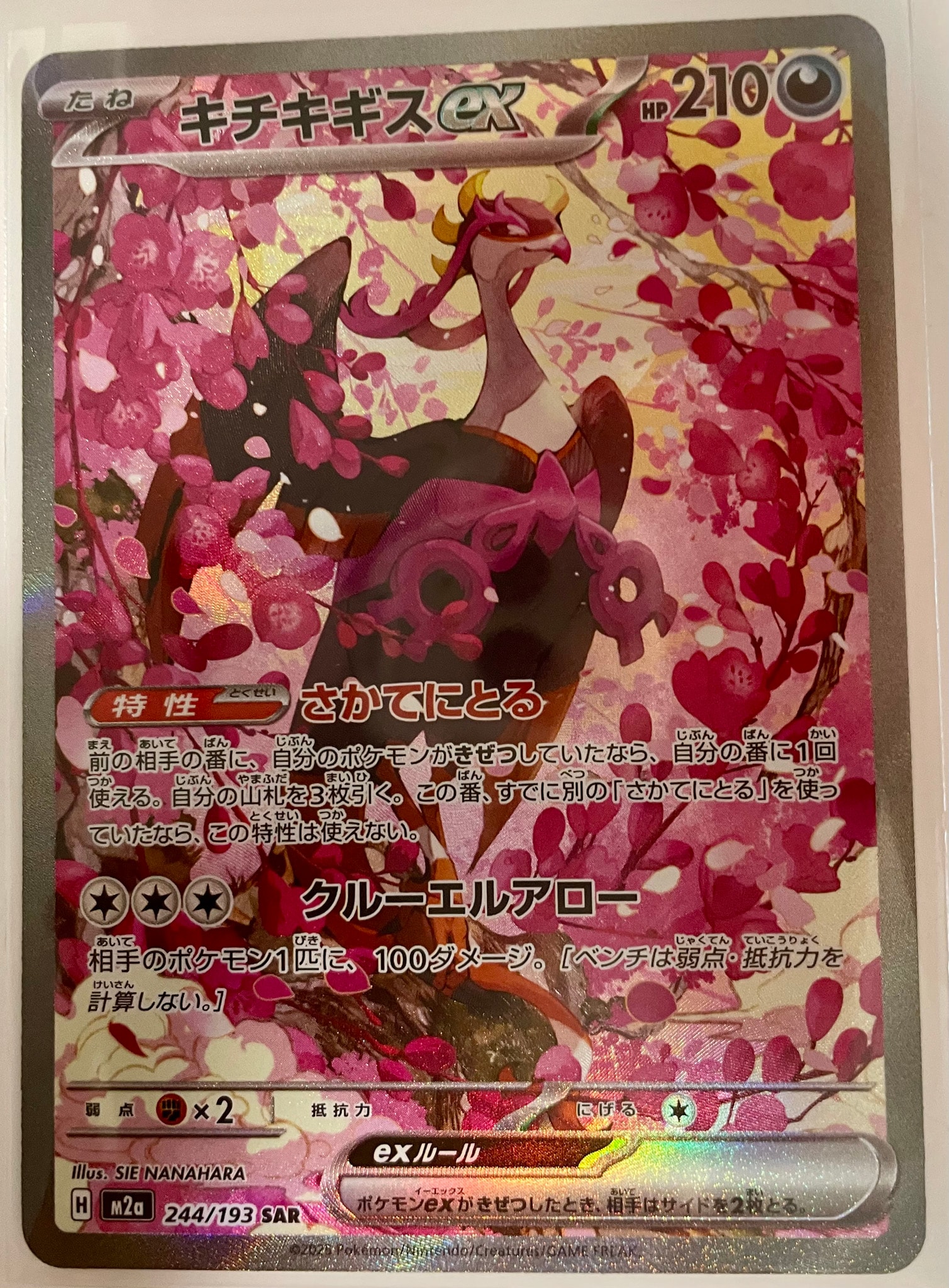 キチキギスex SAR [M2a 244/193](ハイクラスパック「MEGAドリームex