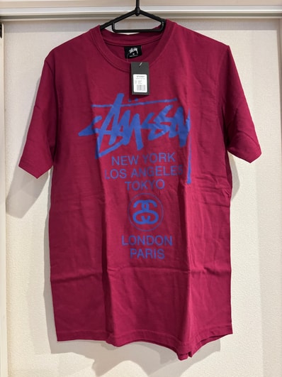 STUSSY women WORLDTOUR Tシャツ