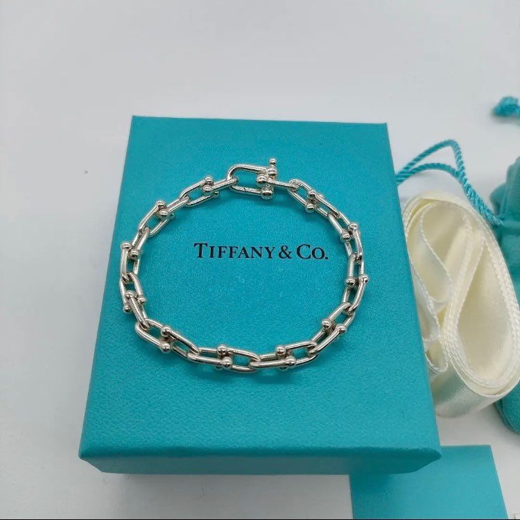 Tiffany & Co. HardWear Small Link Bracelet in Silver