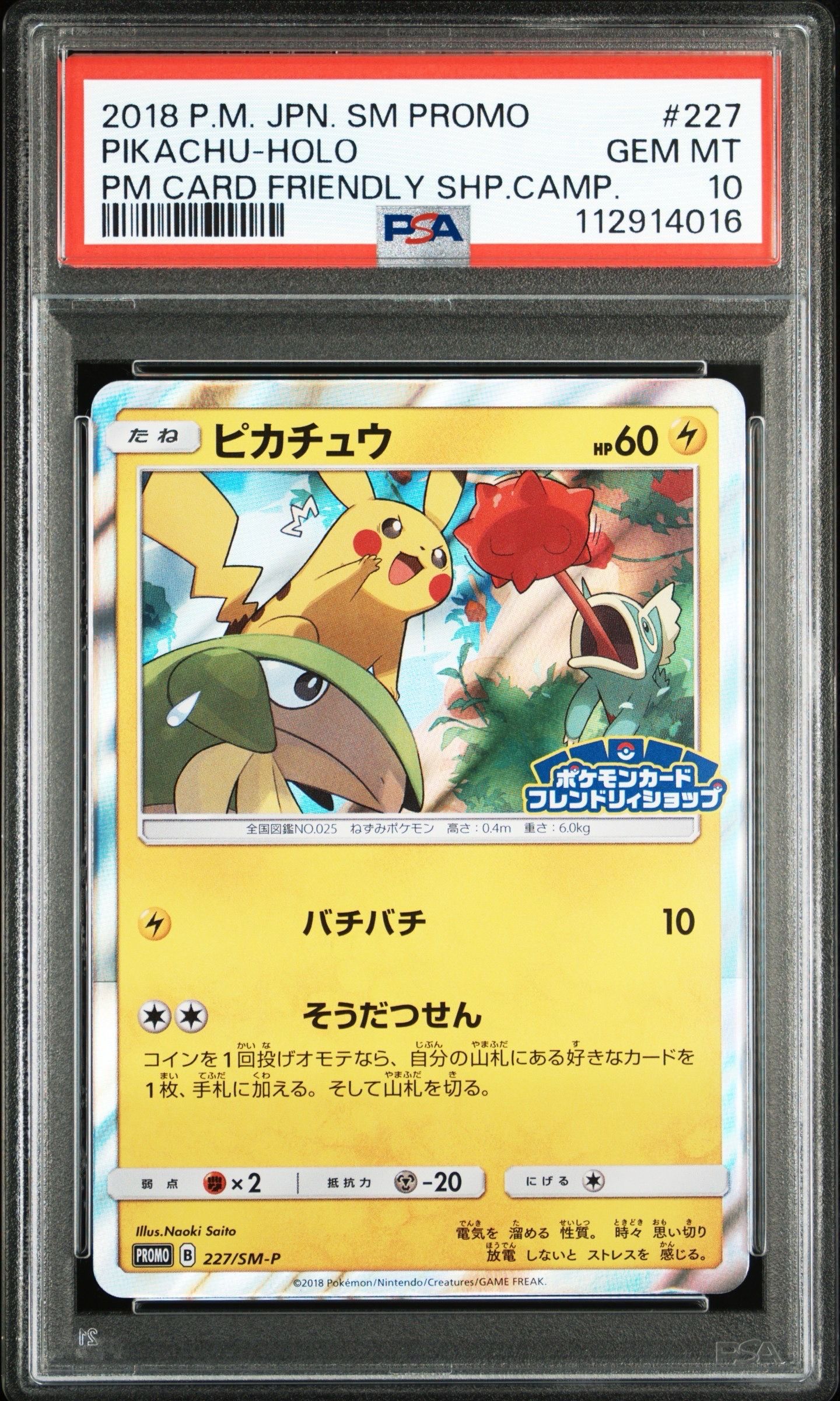ピカチュウ P [SM-P 227](プロモーションカード「ポケモンカードフレンドリィショップ限定キャンペーン」)
