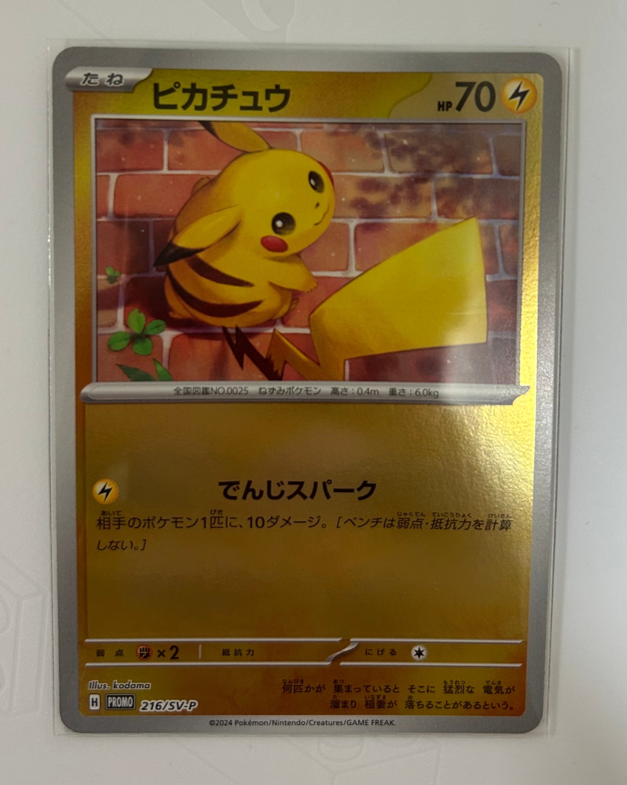 ピカチュウ P [SV-P 216](プロモカードパック「ポケカの夏がキタ!プロモカードGetキャンペーン!」)
