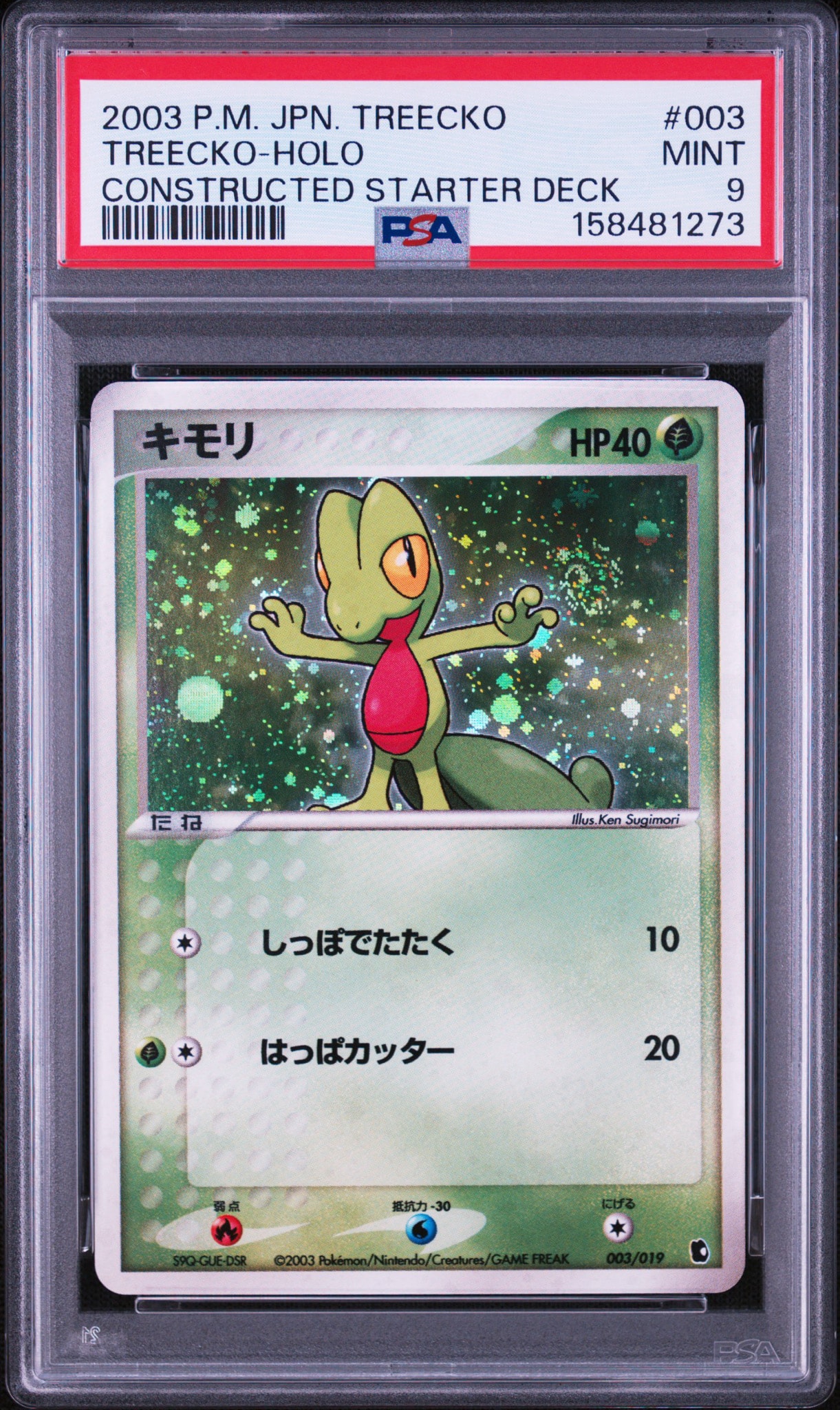 キモリ [ADV1-K 003/019](構築済みスターター「第1弾 キモリデッキ」)
