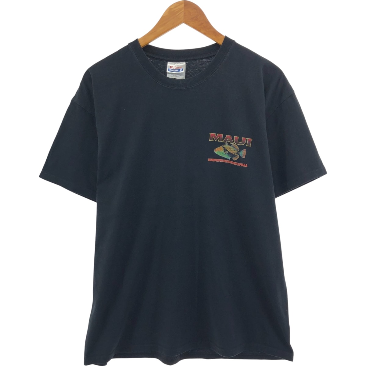 古着 00年代 ヘインズ Hanes COMFORT-T 魚柄 アニマルTシャツ メンズL相当/eaa529520