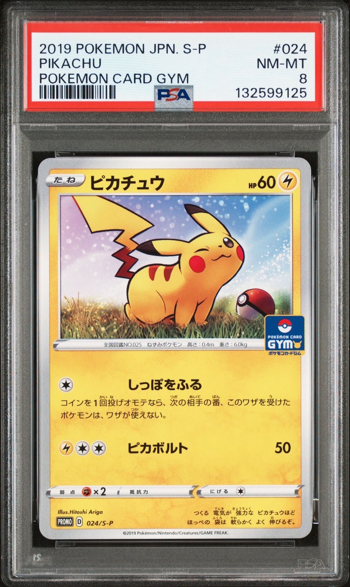 ピカチュウ: プロモ P [S-P 024](ポケモンカードゲーム ソード&シールド 「プロモカードパック 第1弾」)