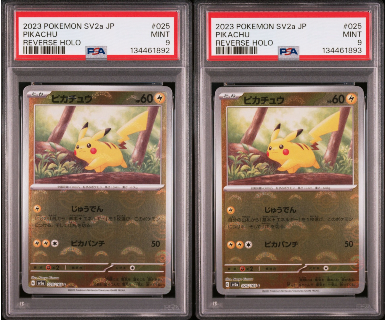 ピカチュウ C: モンスターボールミラー[SV2a 025/165](強化拡張パック「ポケモンカード151」)