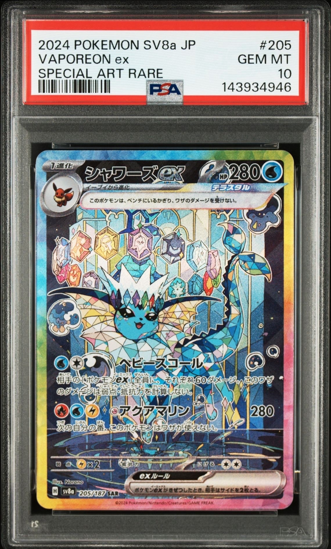 ポケパッド P [M-P 085](プロモーションカード「ポケカジムエントリー