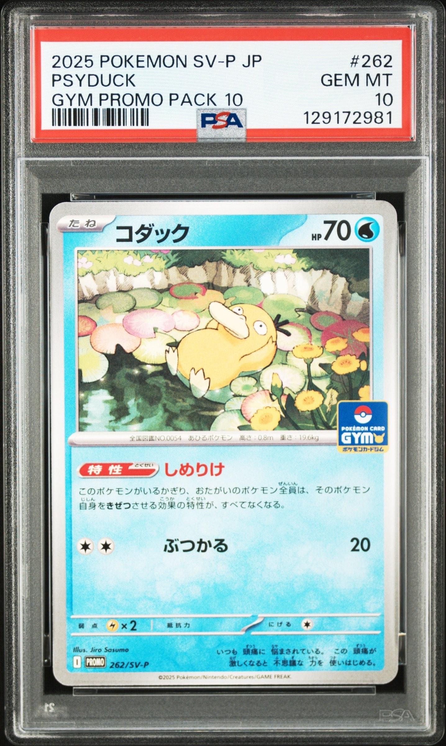 コダック P [SV-P 262](プロモカードパック「第10弾」)