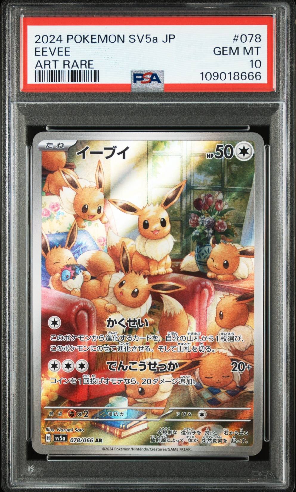 検索 | スニーカーダンク