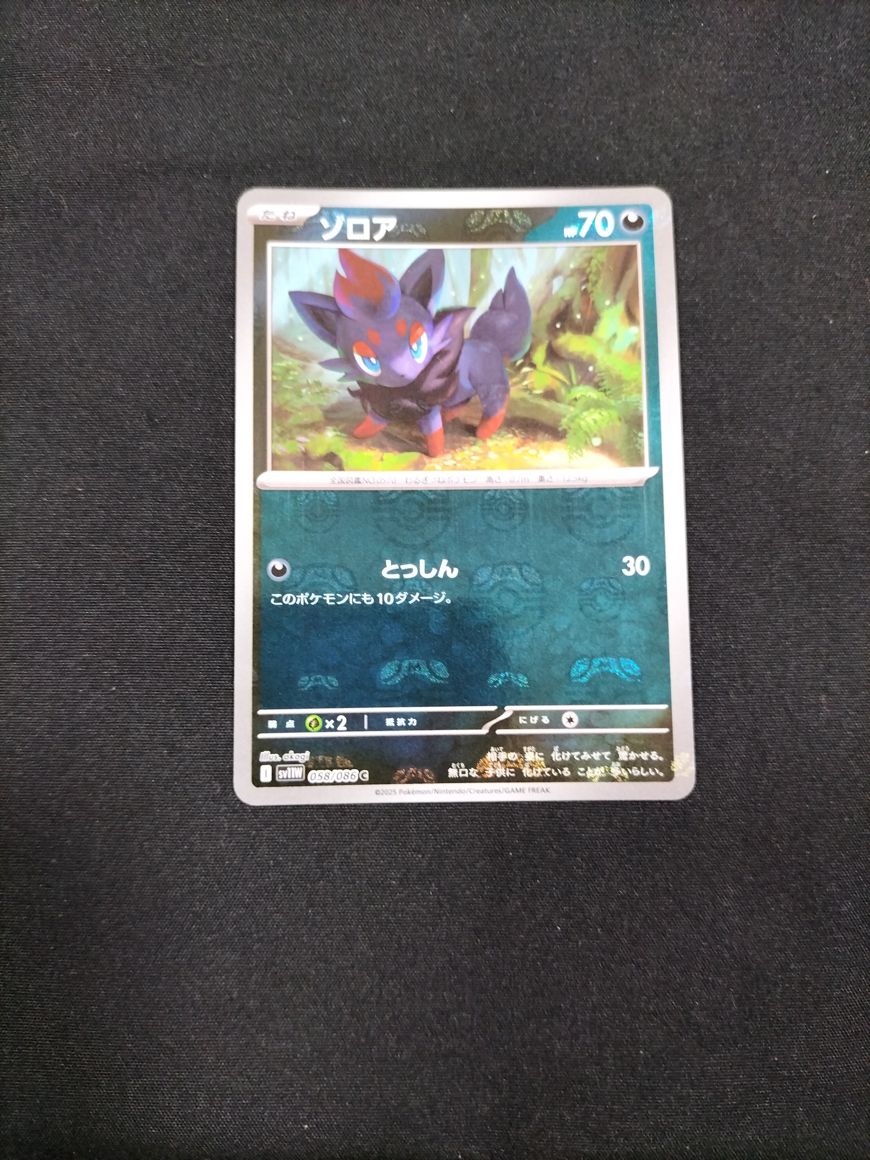 ゾロア C :マスターボールミラー [SV11W 058/086](拡張パック「ホワイトフレア」)