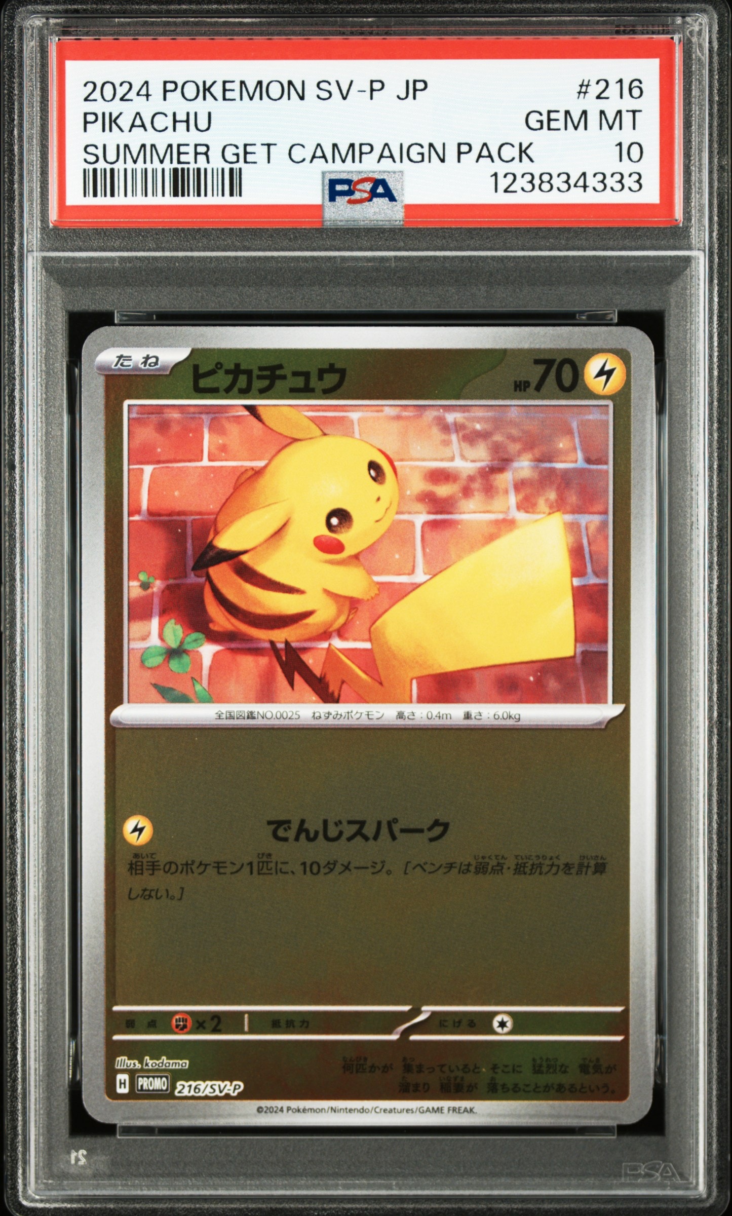 PSA10】ピカチュウ P [SV-P 216](プロモカードパック「ポケカの夏が