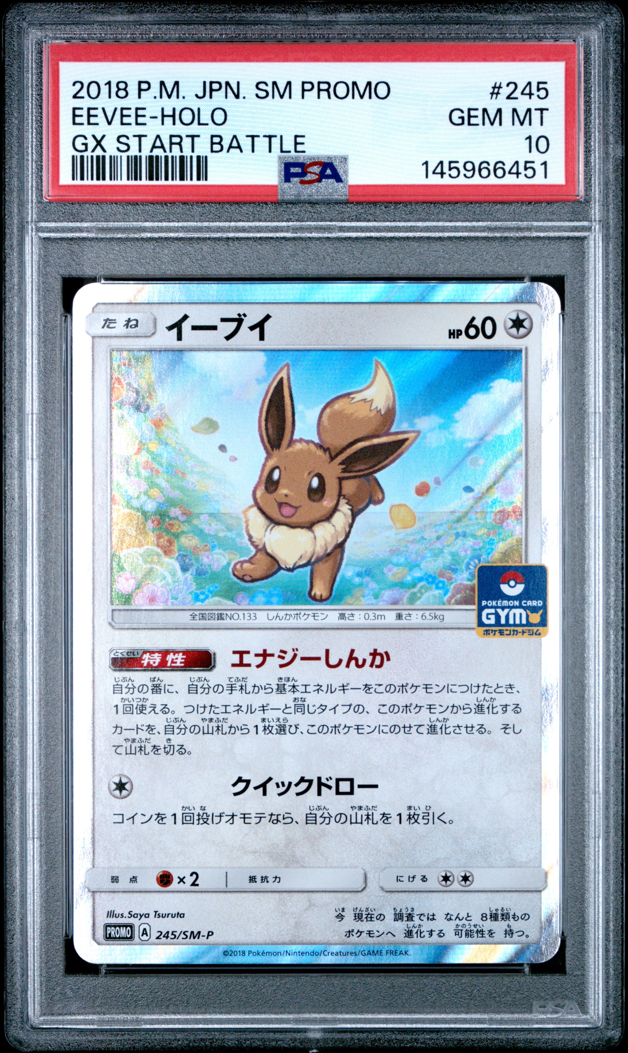 イーブイ P [SM-P 245](プロモーションカード「GXスタートバトル ~イーブイゲットだぜ~」)