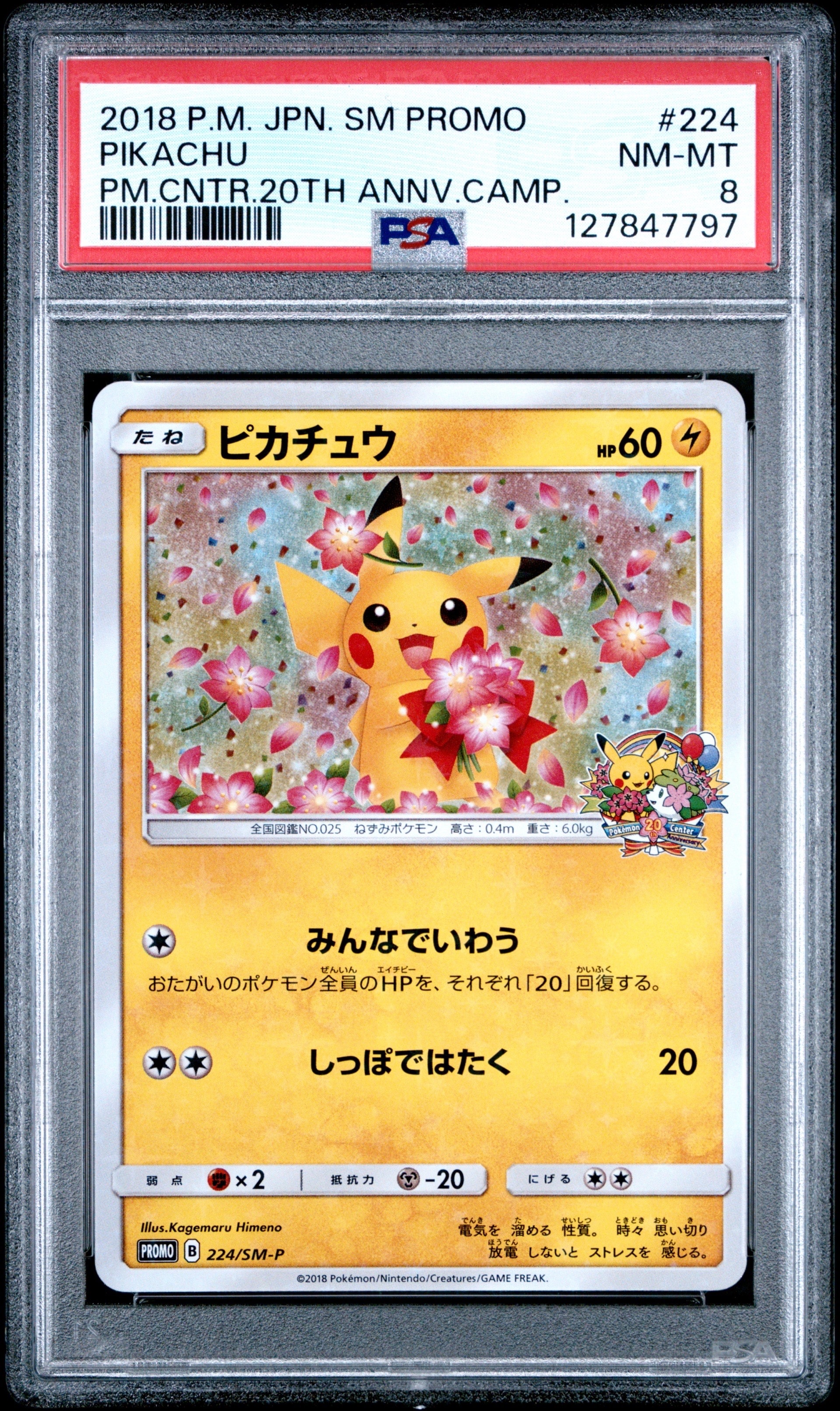 PSA8以下】ピカチュウ: プロモ[SM-P 224](プロモーションカード「SM-P