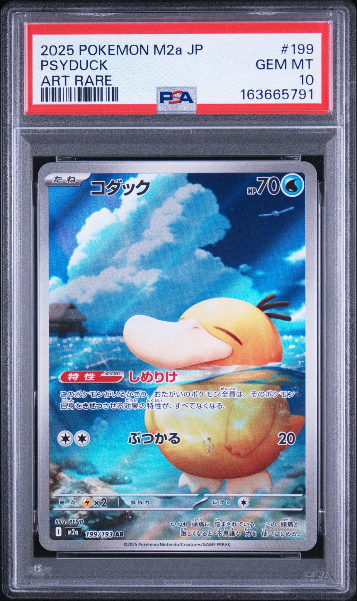 コダック AR [M2a 199/193](ハイクラスパック「MEGAドリームex」)通販
