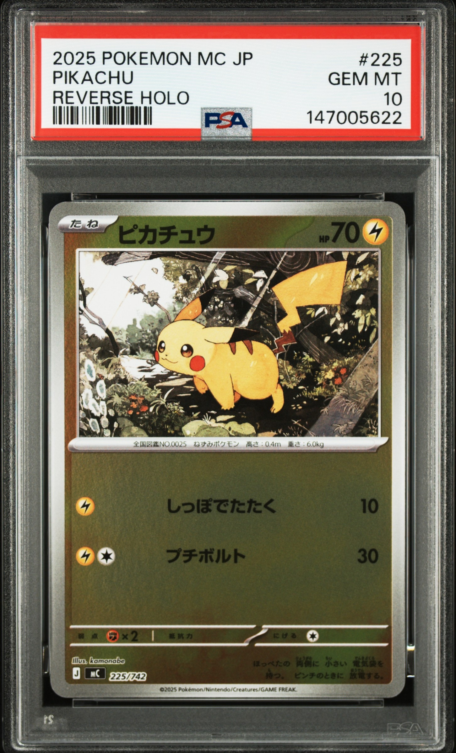 ヒロシマのピカチュウ P [SV-P 261](スペシャルBOX「ポケモンセンター