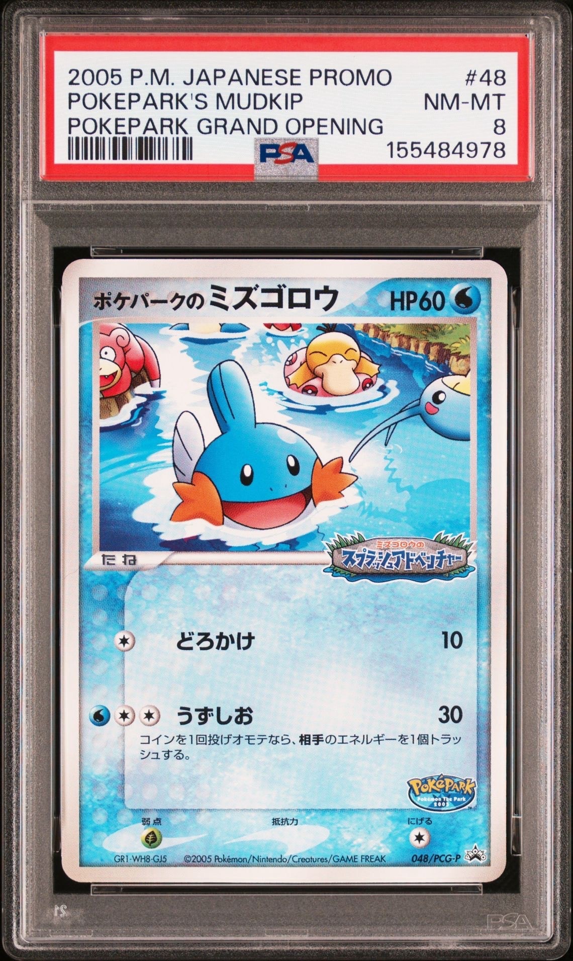 ポケパークのミズゴロウ P [PCG-P 048](プロモーションカード
