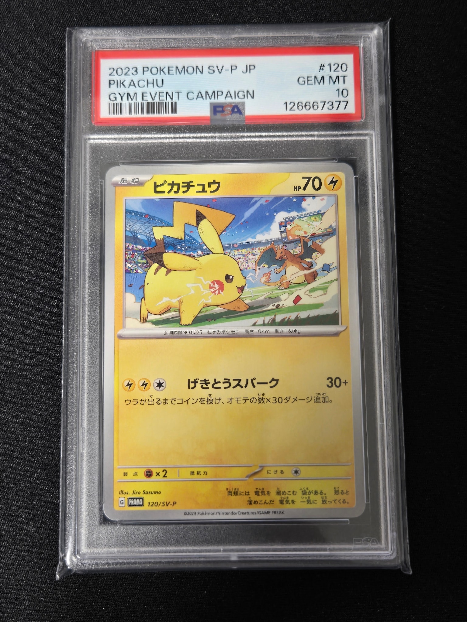 ピカチュウ: プロモ [SV-P 120](プロモーションカード「SV-P」)通販