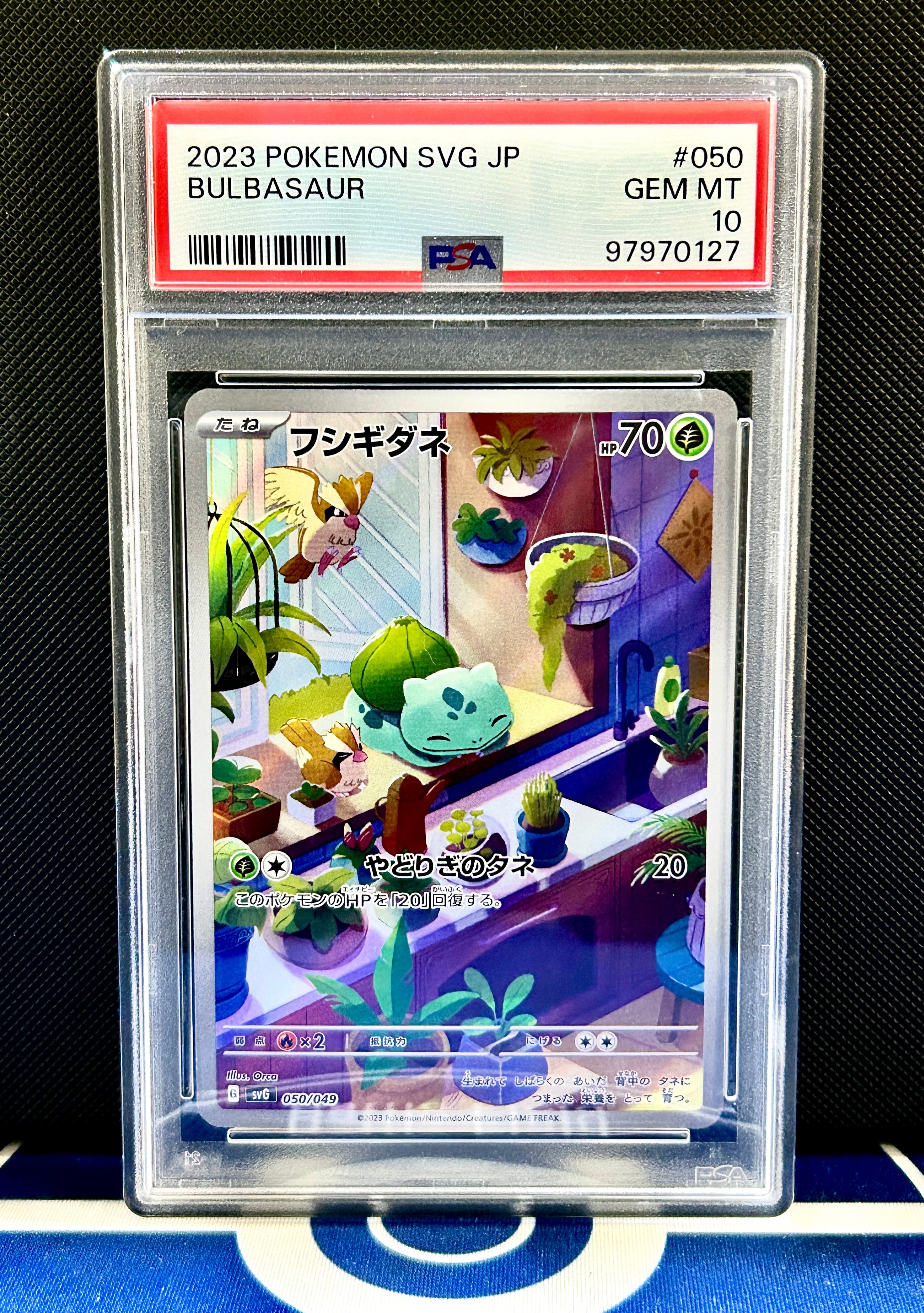 フシギダネ :フルイラスト [SVG 050/049](スペシャルデッキセットex「フシギバナ・リザードン・カメックス」)