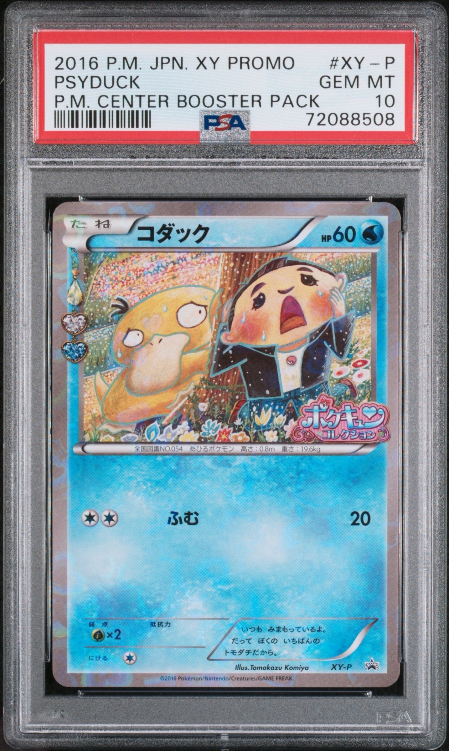 コダック: プロモ[XY-P](プロモーションカード「XY-P」)の新品/中古