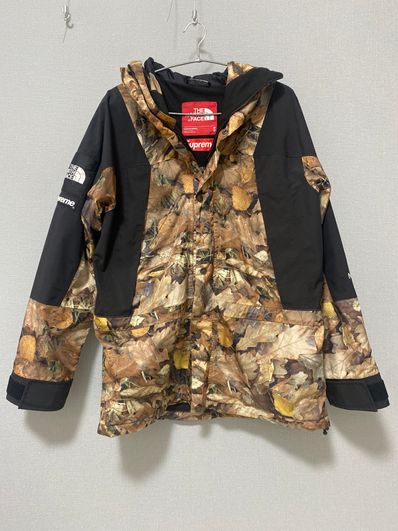 Supreme x The North Face Leaves Mountain Light Jacket "Leaves"