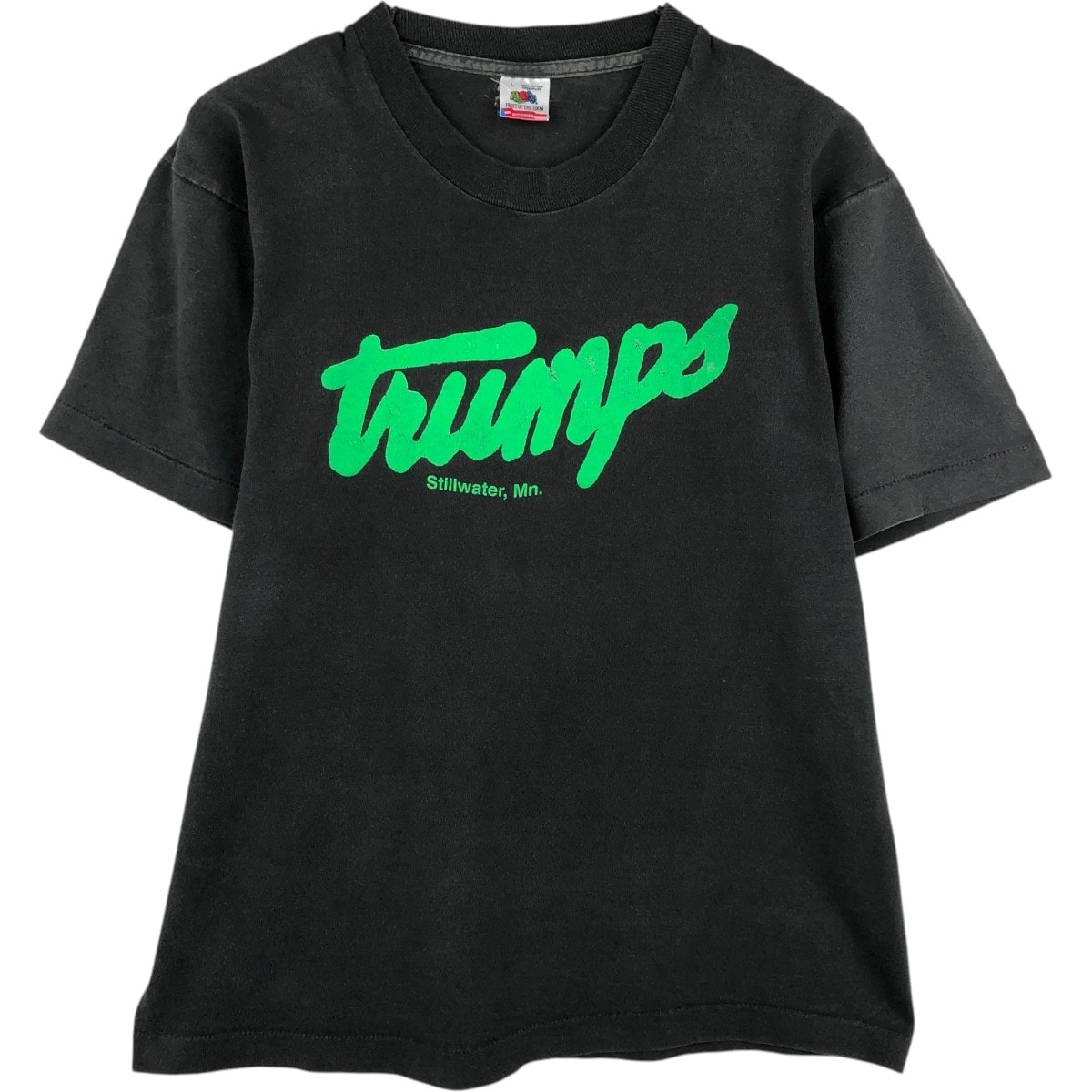 古着 90年代 フルーツオブザルーム FRUIT OF THE LOOM プリントTシャツ USA製 メンズL相当 ヴィンテージ/eaa626745