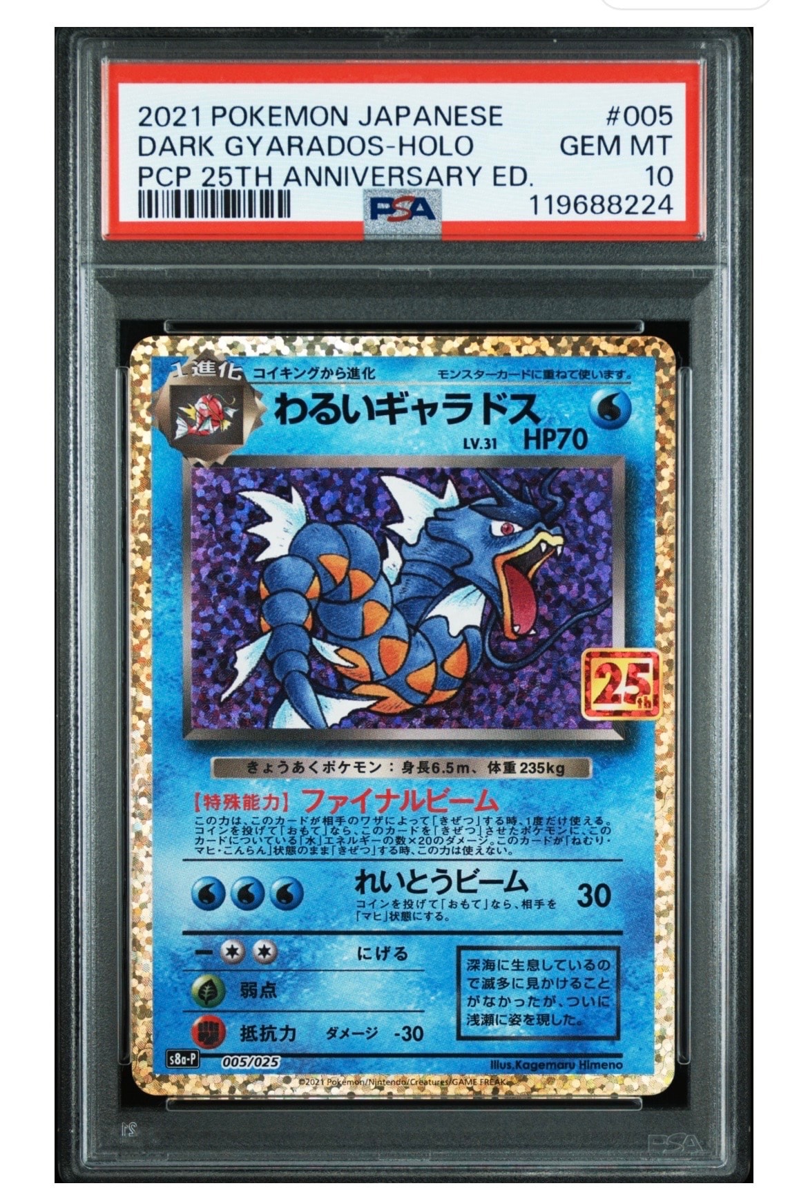 わるいギャラドス: プロモ[S8a-P 005/025](プロモカードパック 25th ANNIVERSARY edition)