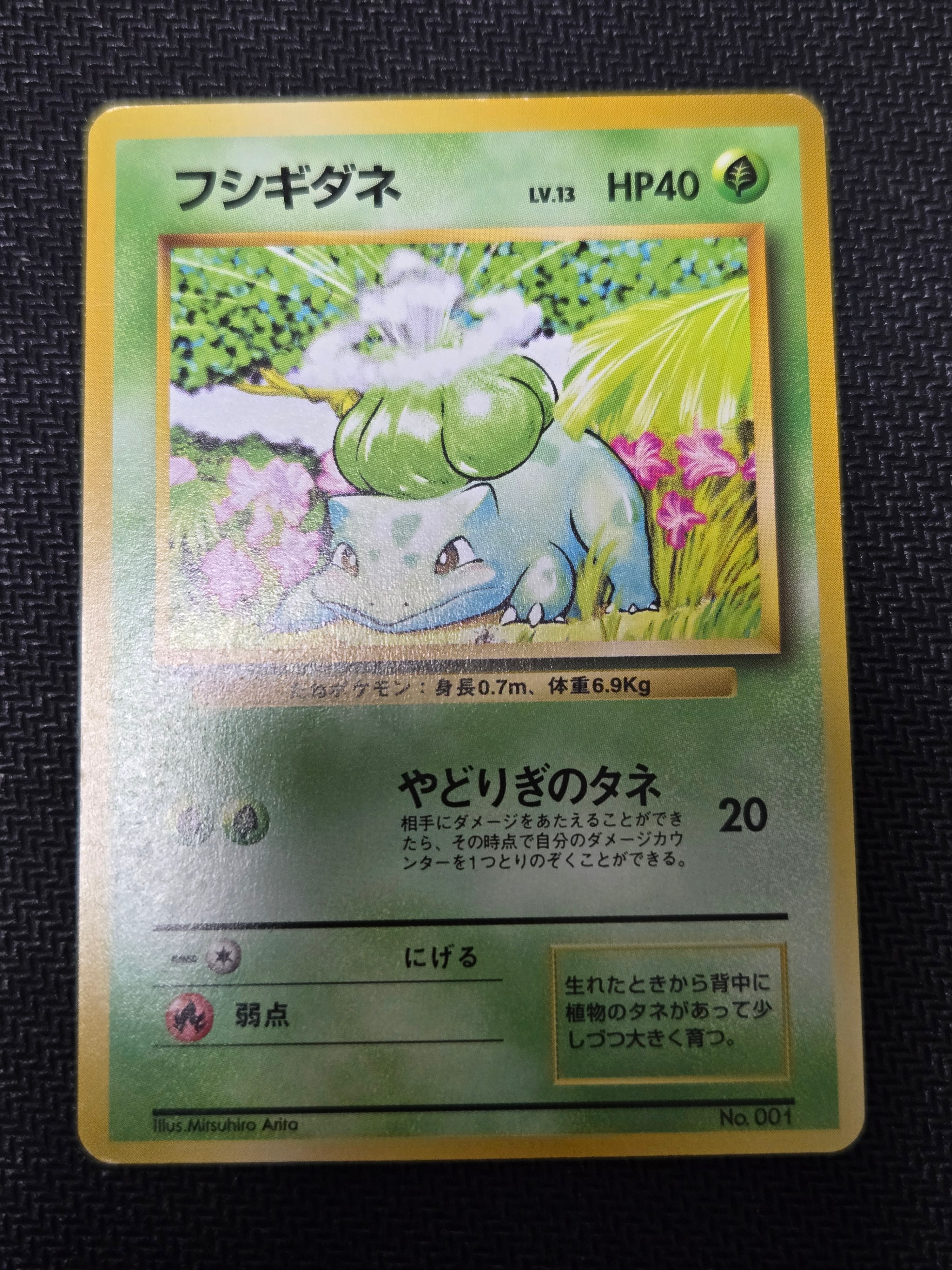 フシギダネ 初版 : 旧裏 [PMCG1-1](拡張パック「ポケットモンスター カードゲーム」初版)